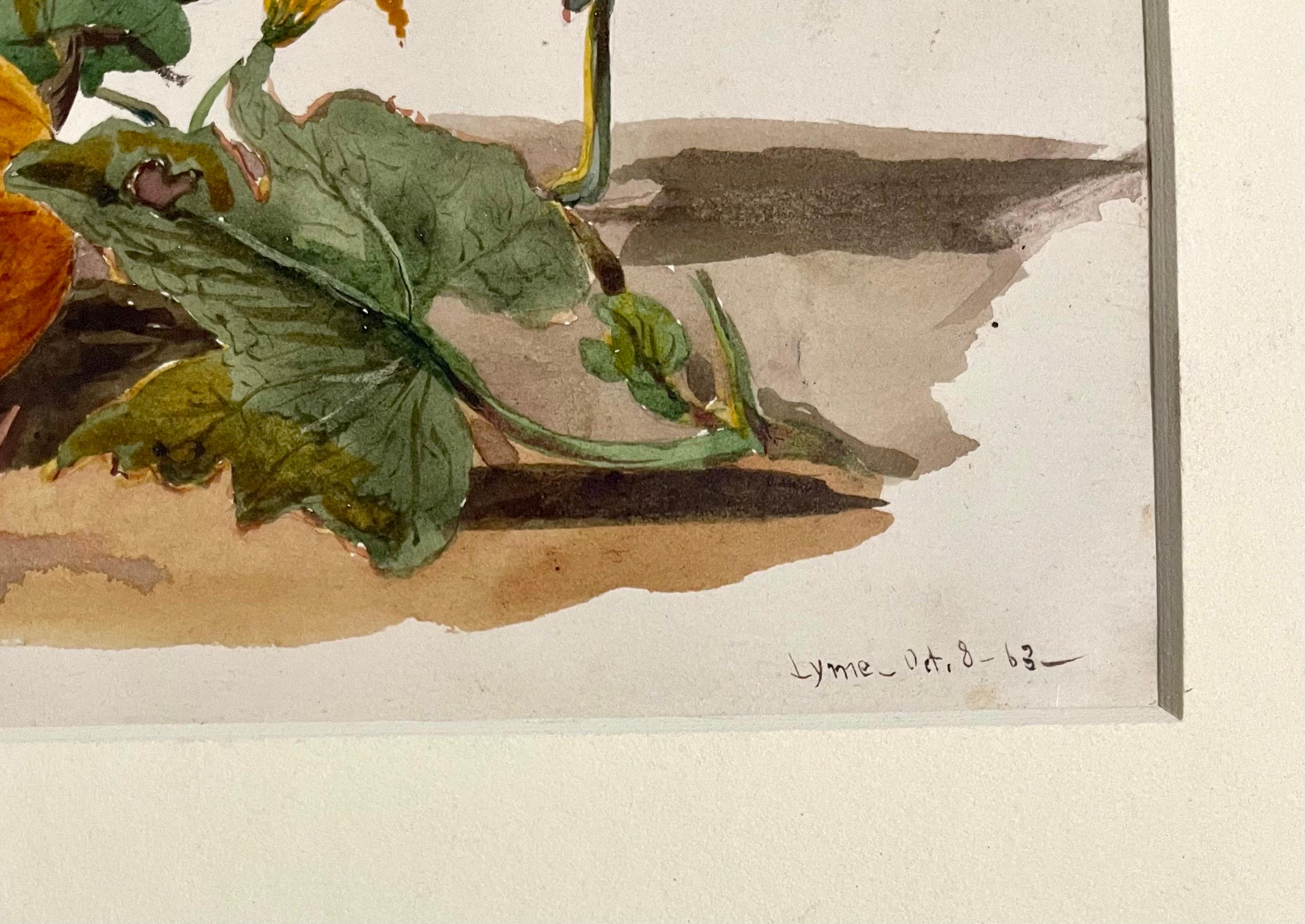 Pumpkin Vine Watercolor Painting 19th C. American Artist Charles DeWolf Brownell For Sale 3