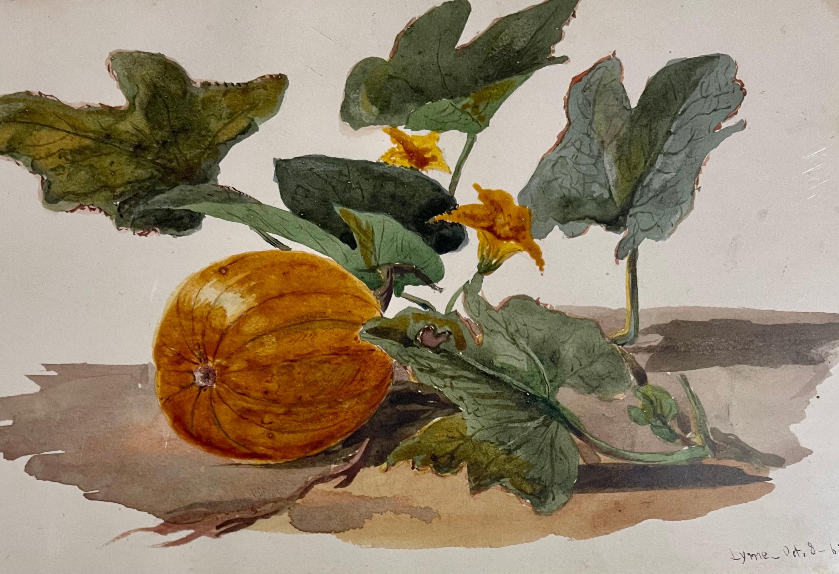 Pumpkin Vine Watercolor Painting 19th C. American Artist Charles DeWolf Brownell For Sale 4