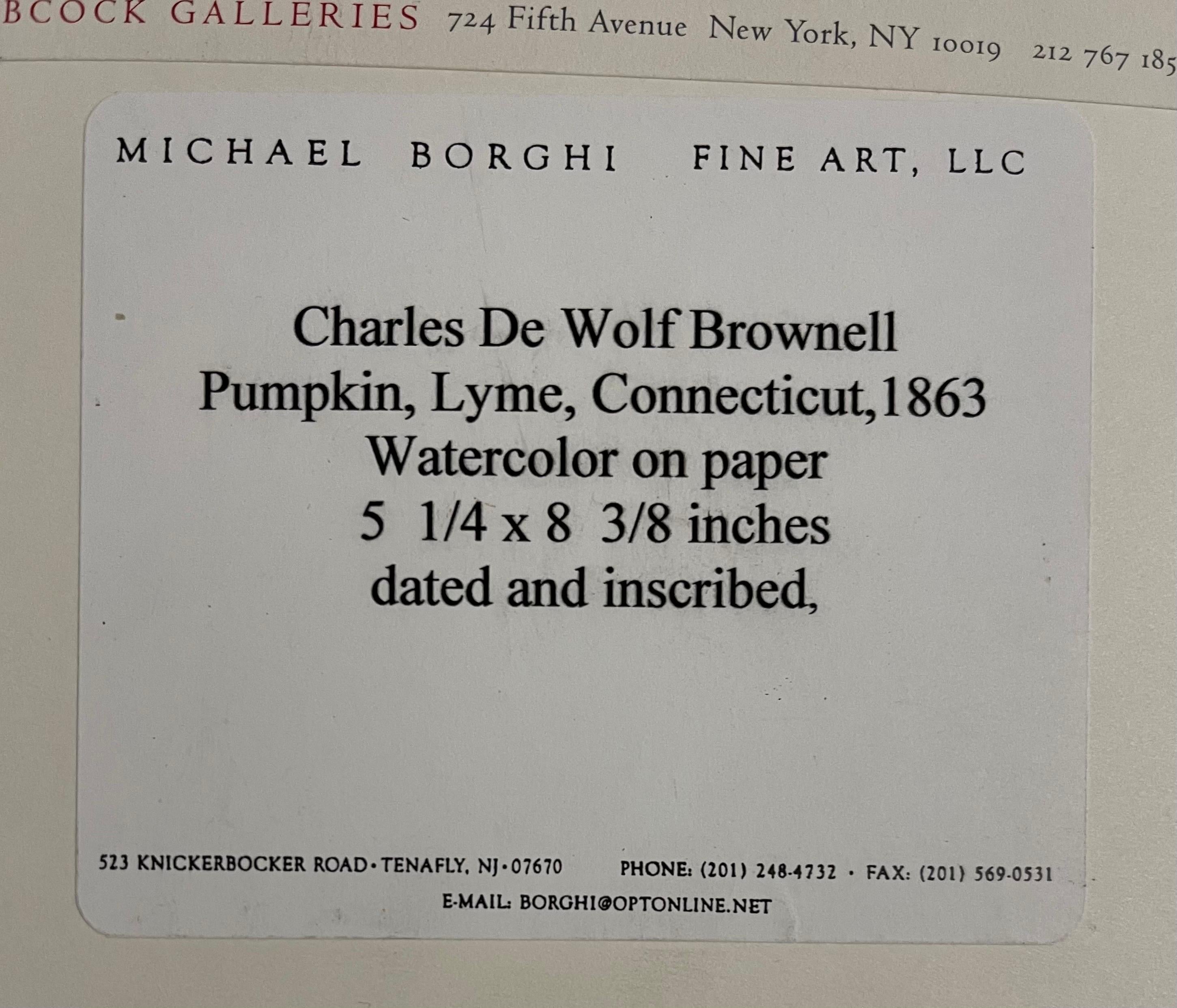 Pumpkin Vine Watercolor Painting 19th C. American Artist Charles DeWolf Brownell For Sale 6