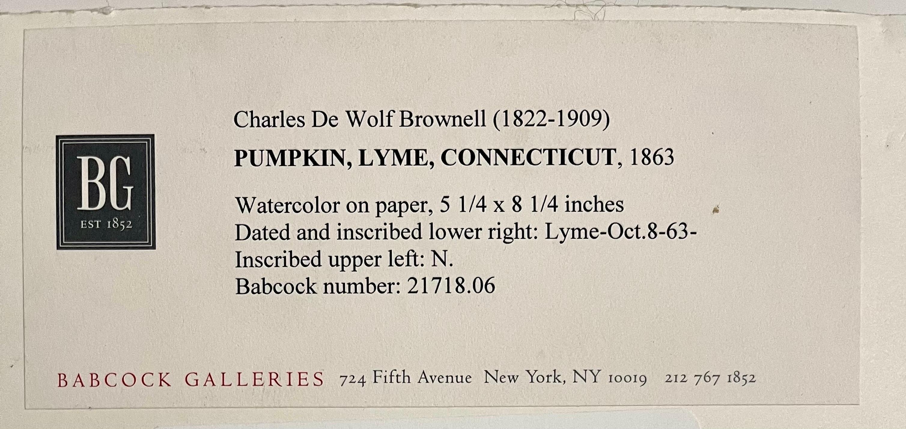 Pumpkin Vine Watercolor Painting 19th C. American Artist Charles DeWolf Brownell For Sale 7