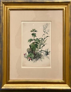 Antique Plants, Bristol 1863 Watercolor Painting American Artist Charles DeWolf Brownell