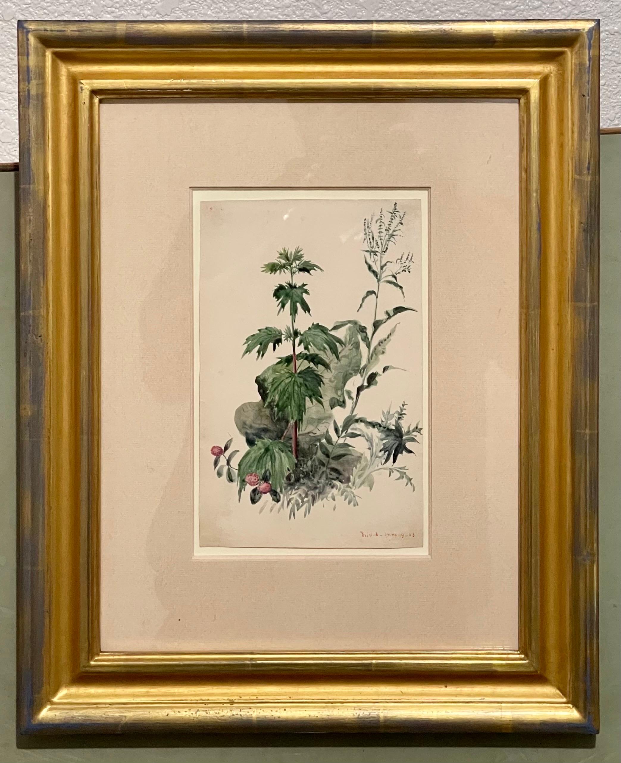 Plants, Bristol 1863 Watercolor Painting American Artist Charles DeWolf Brownell For Sale 3