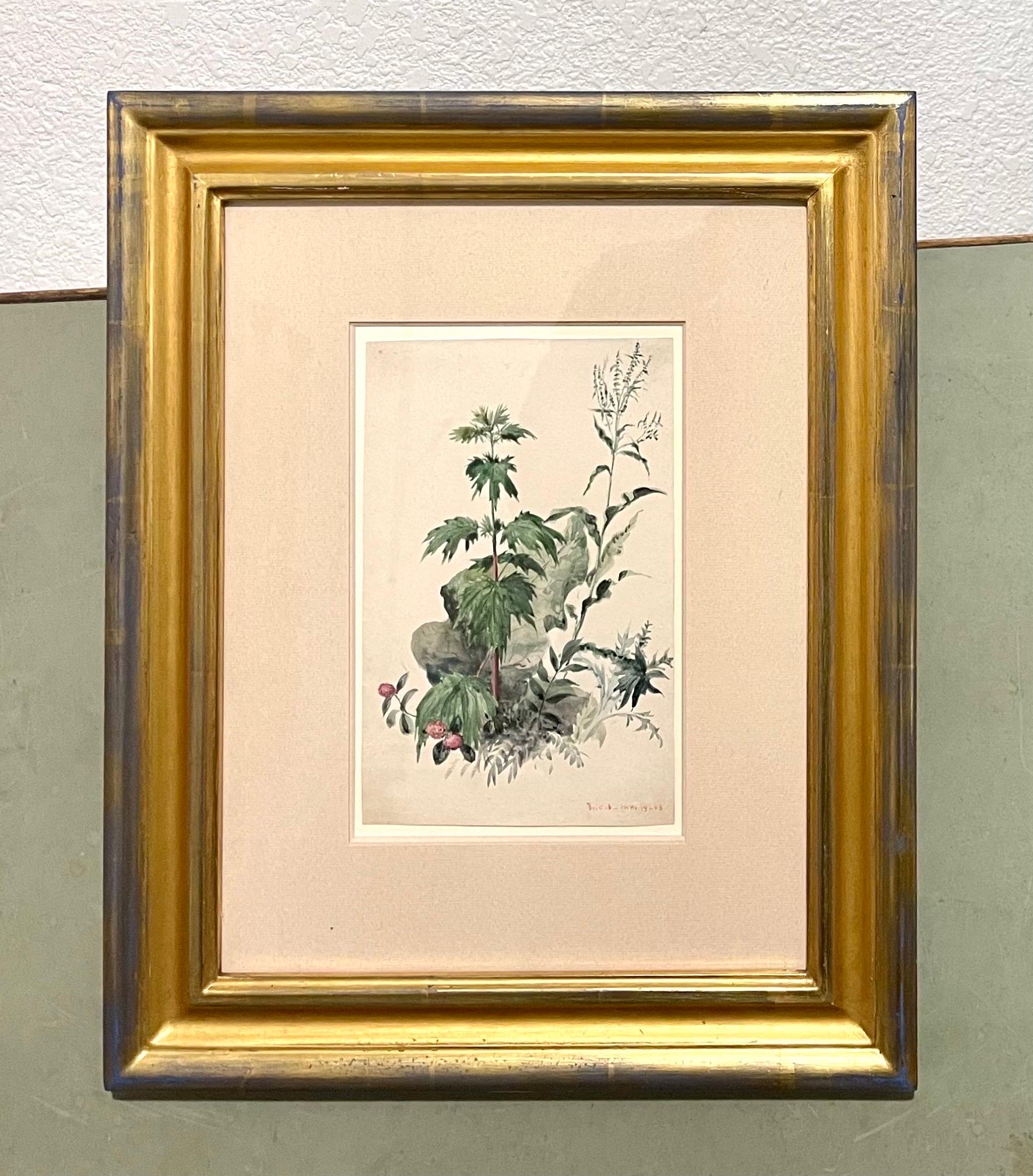 Plants, Bristol 1863 Watercolor Painting American Artist Charles DeWolf Brownell For Sale 8