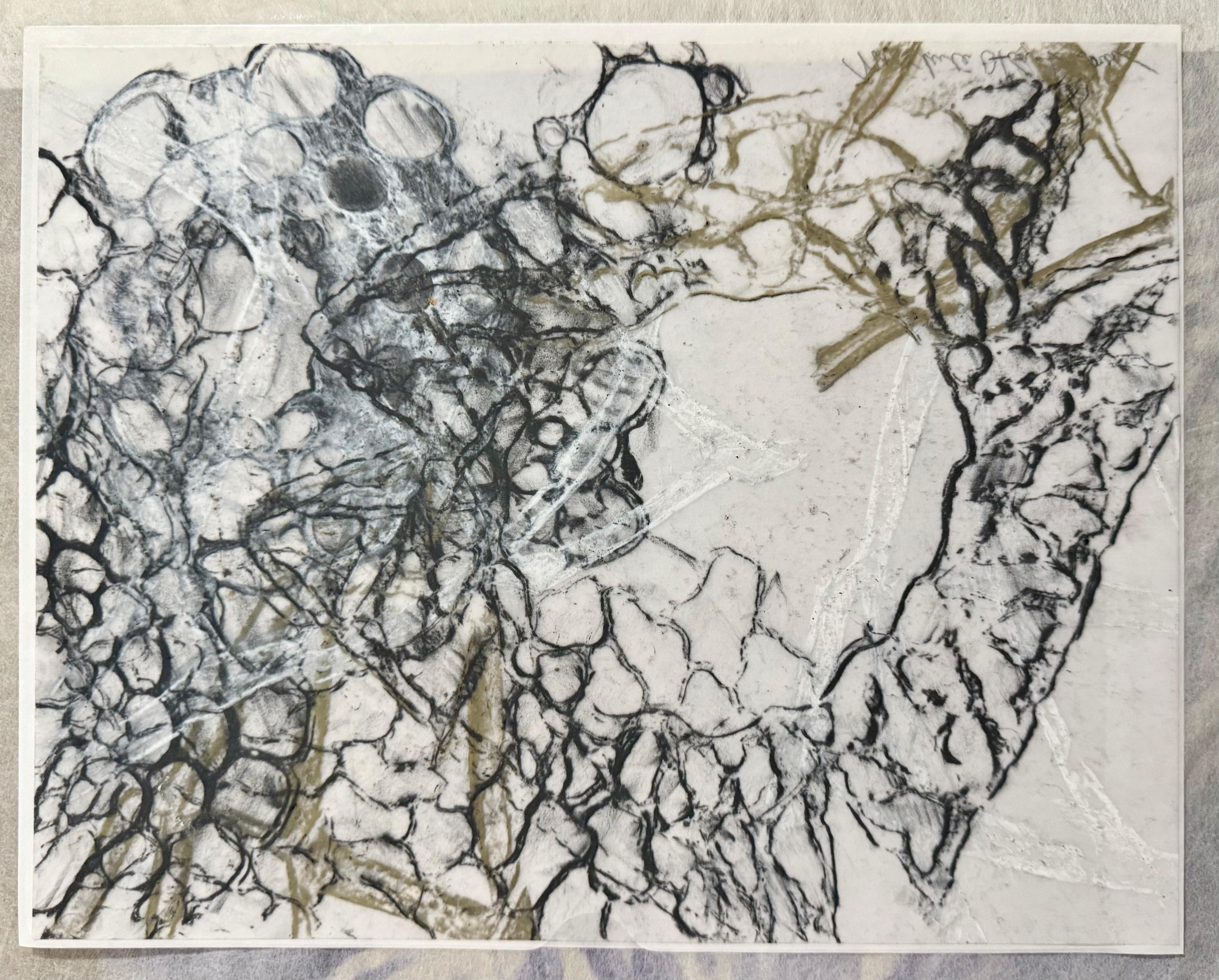 Dibujo Original Pintura Abstracta Arte Biomórfico Pan de Oro Michele Oka Doner en venta 6