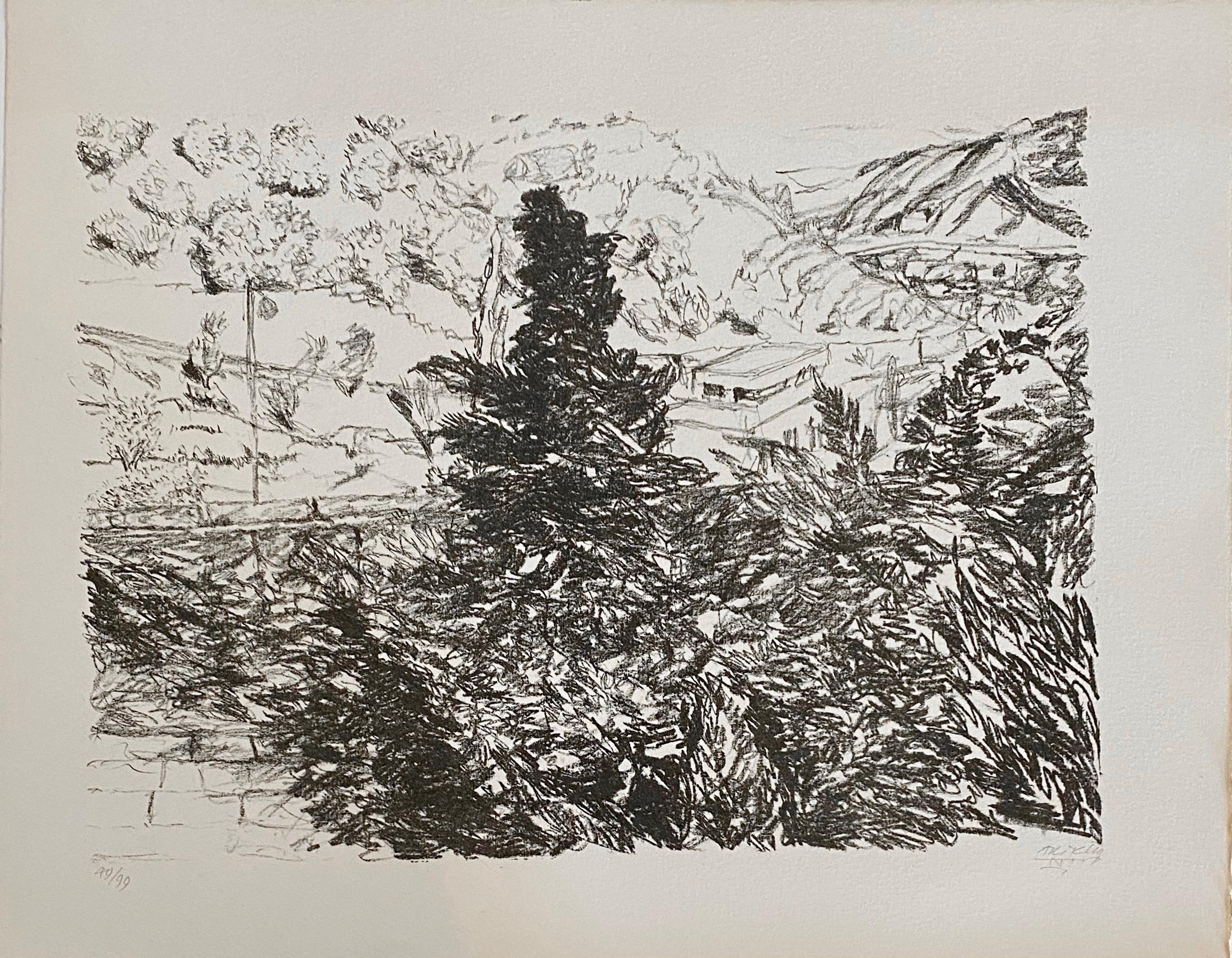 Avigdor Arikha Modernist Israeli Lithograph Jerusalem Landscape Bezalel School For Sale 1