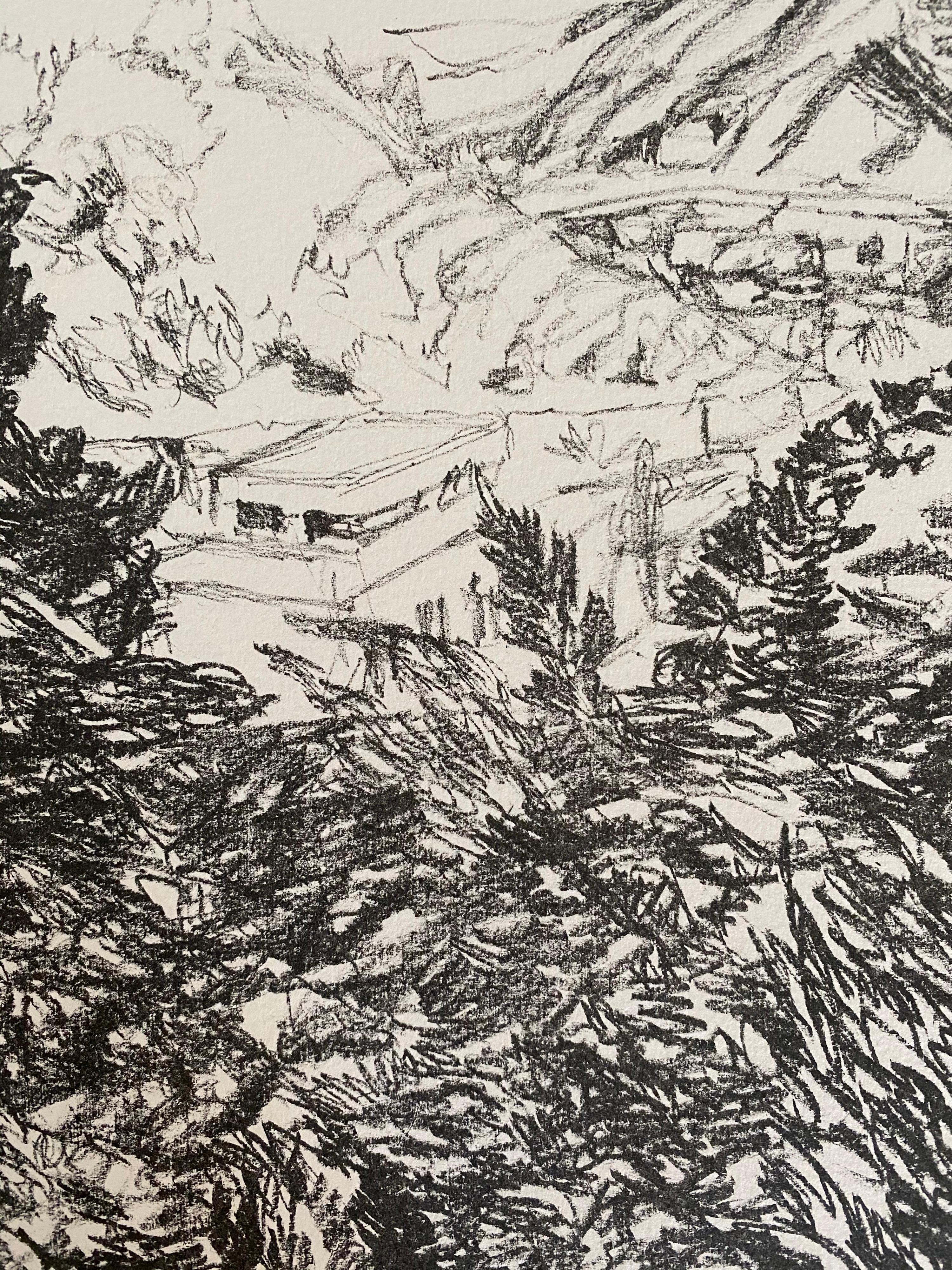 Avigdor Arikha Modernist Israeli Lithograph Jerusalem Landscape Bezalel School For Sale 2