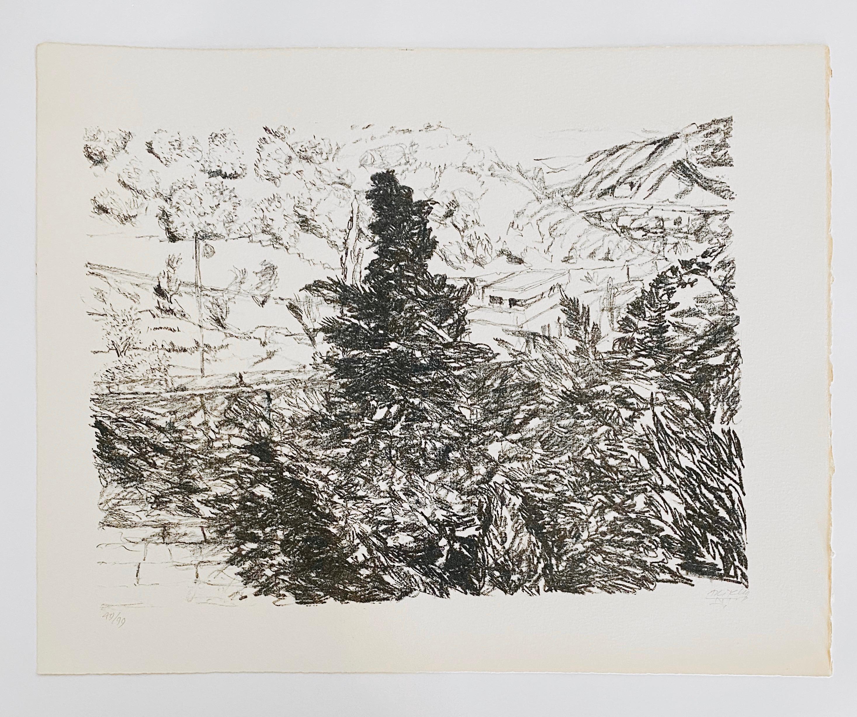 Avigdor Arikha Modernist Israeli Lithograph Jerusalem Landscape Bezalel School For Sale 7