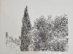 Avigdor Arikha Modernistische Israelische Lithographie Jerusalem Landschaft Bezalel Schule