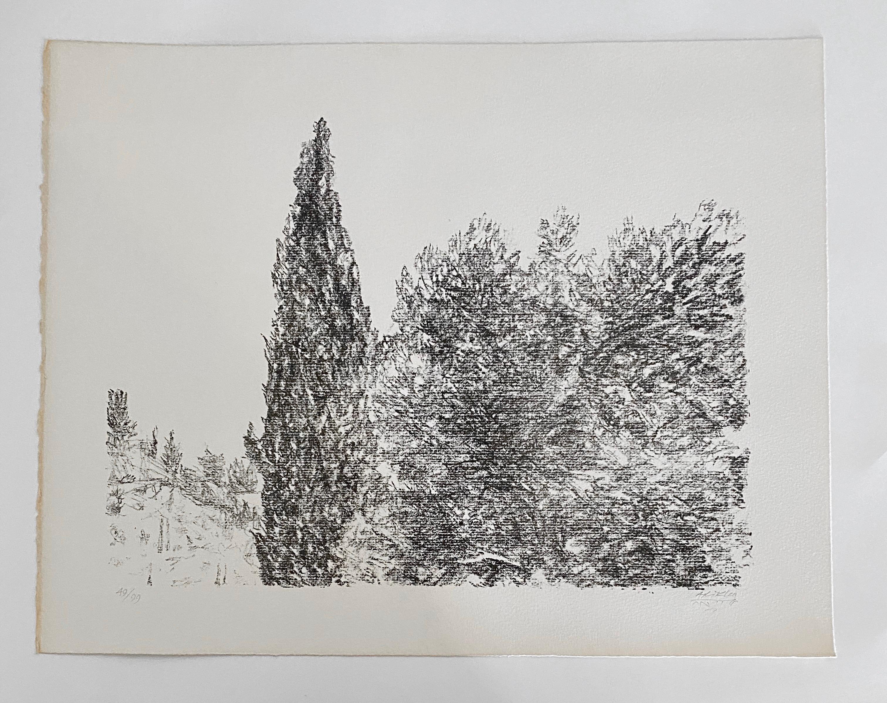 Avigdor Arikha Modernist Israeli Lithograph Jerusalem Landscape Bezalel School For Sale 5
