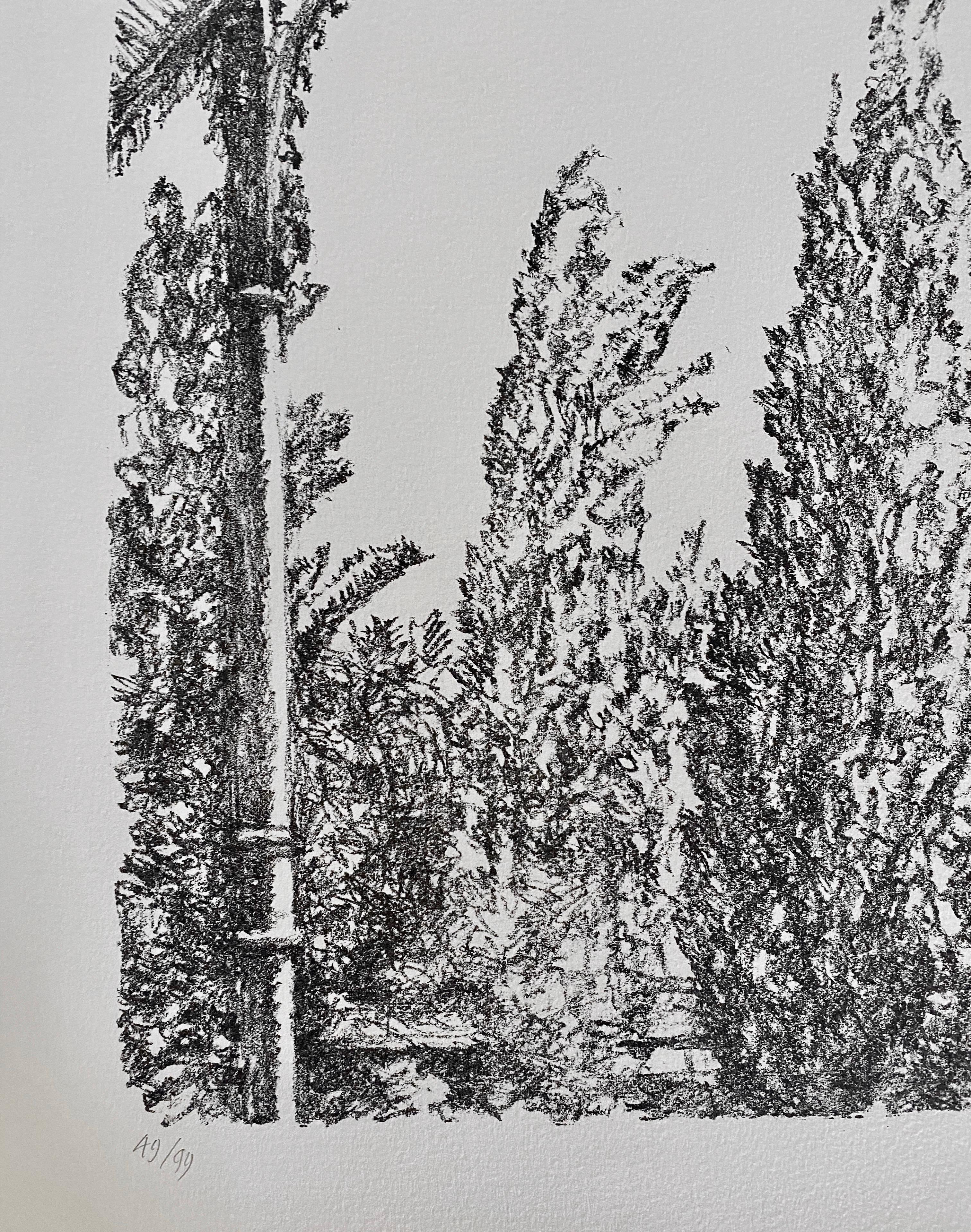 Avigdor Arikha Modernist Israeli Lithograph Jerusalem Landscape Bezalel School For Sale 2