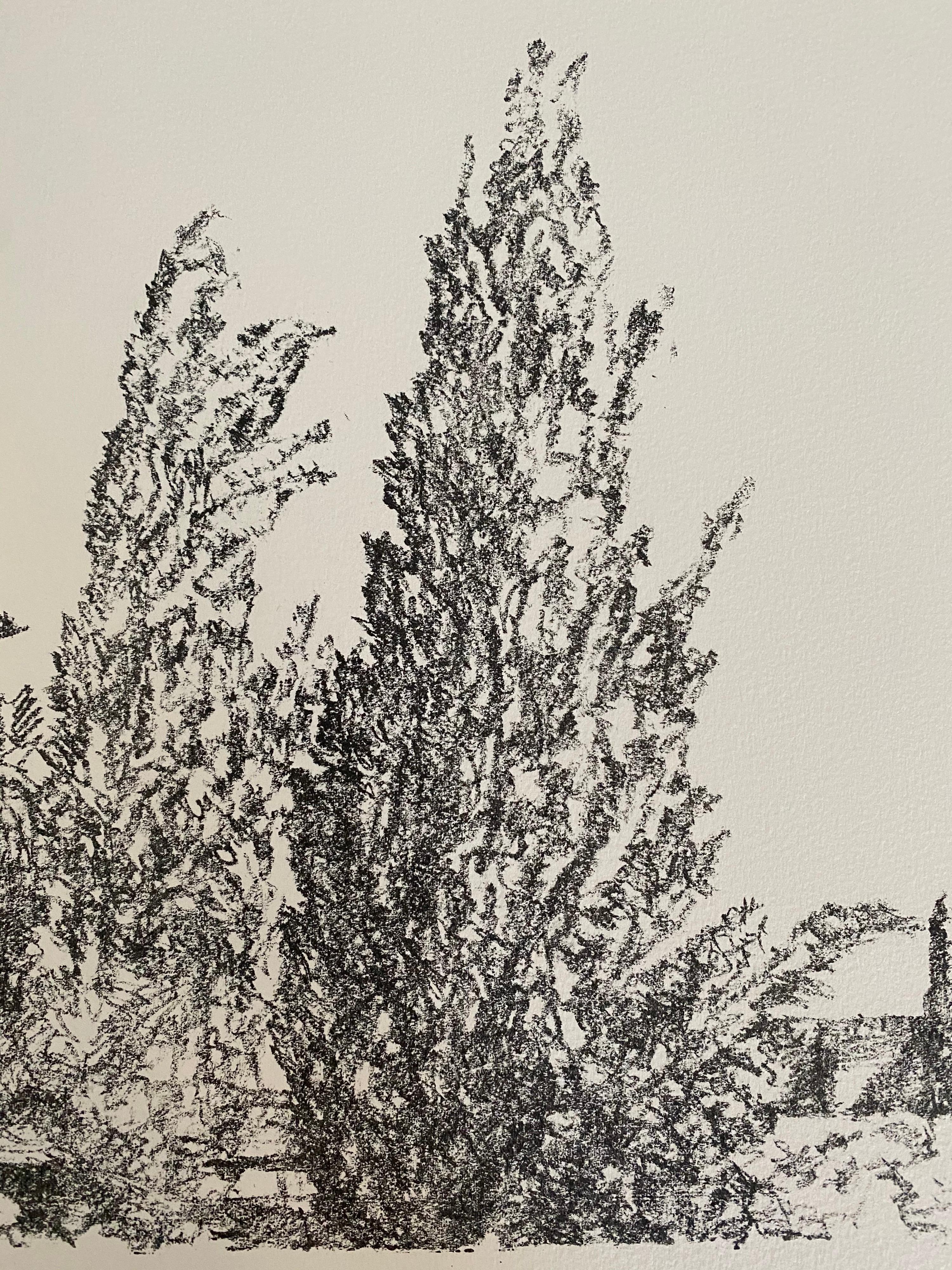 Avigdor Arikha Modernist Israeli Lithograph Jerusalem Landscape Bezalel School For Sale 3