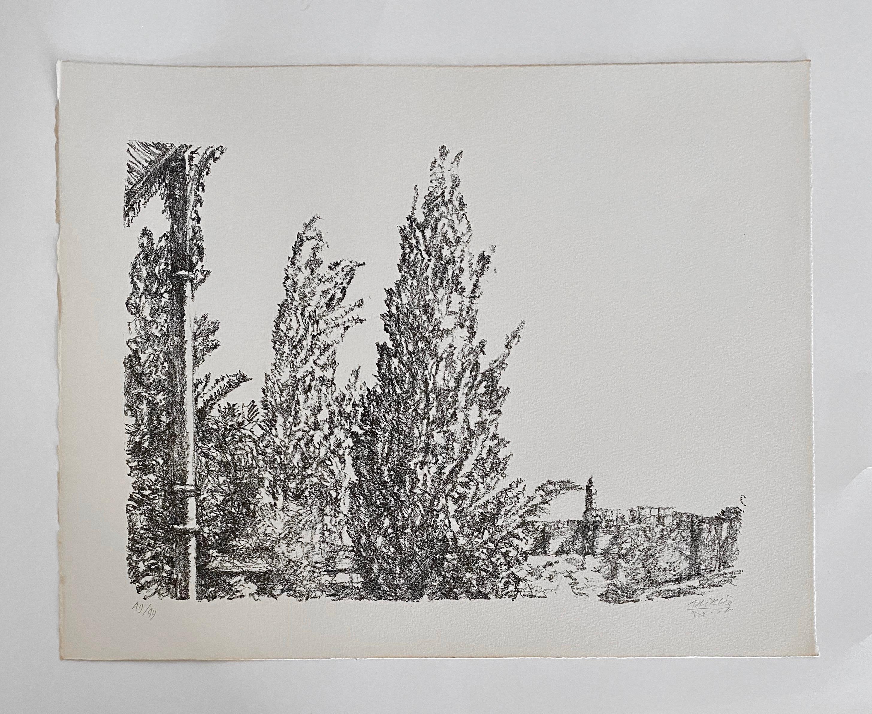 Avigdor Arikha Modernist Israeli Lithograph Jerusalem Landscape Bezalel School For Sale 5
