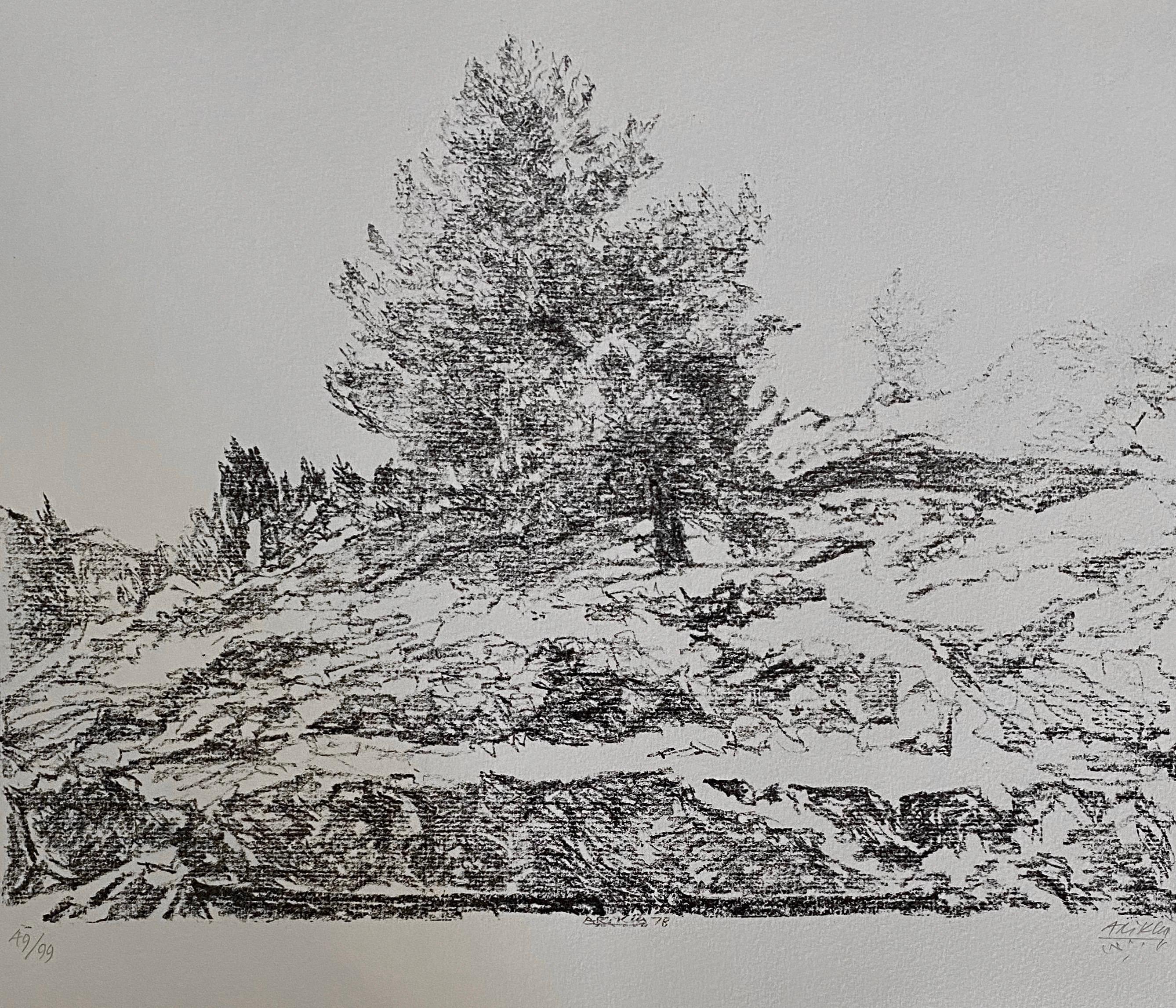 Avigdor Arikha Modernist Israeli Lithograph Jerusalem Landscape Bezalel School For Sale 1
