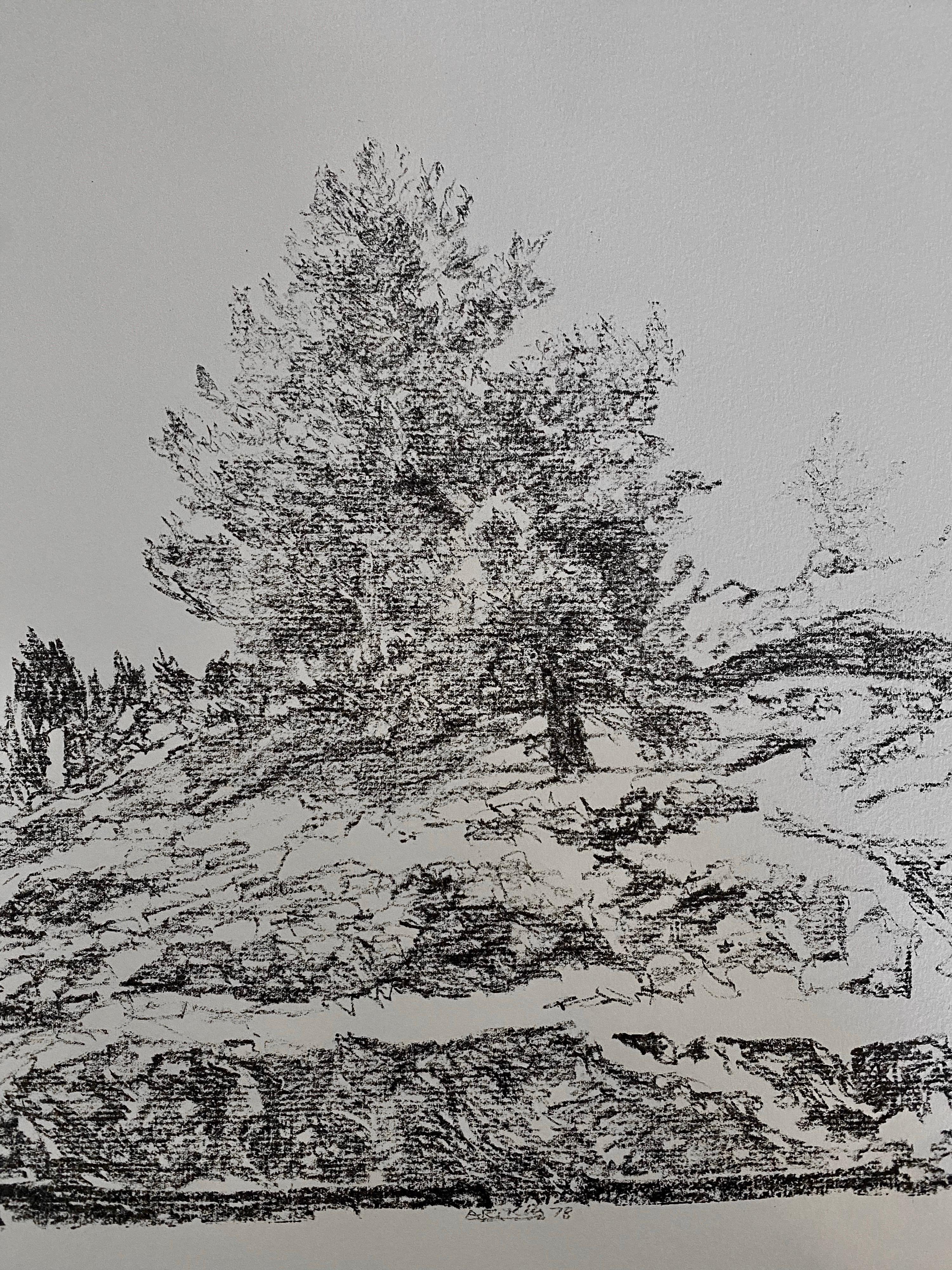 Avigdor Arikha Modernist Israeli Lithograph Jerusalem Landscape Bezalel School For Sale 2