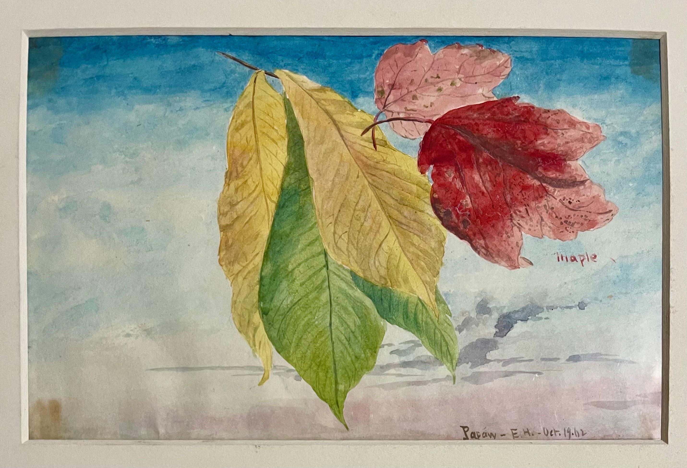 Landscape Art Charles De Wolf Brownell - Feuilles d'érable Peinture à l'eau A.I.C. Artiste américain Charles DeWolf Brownell