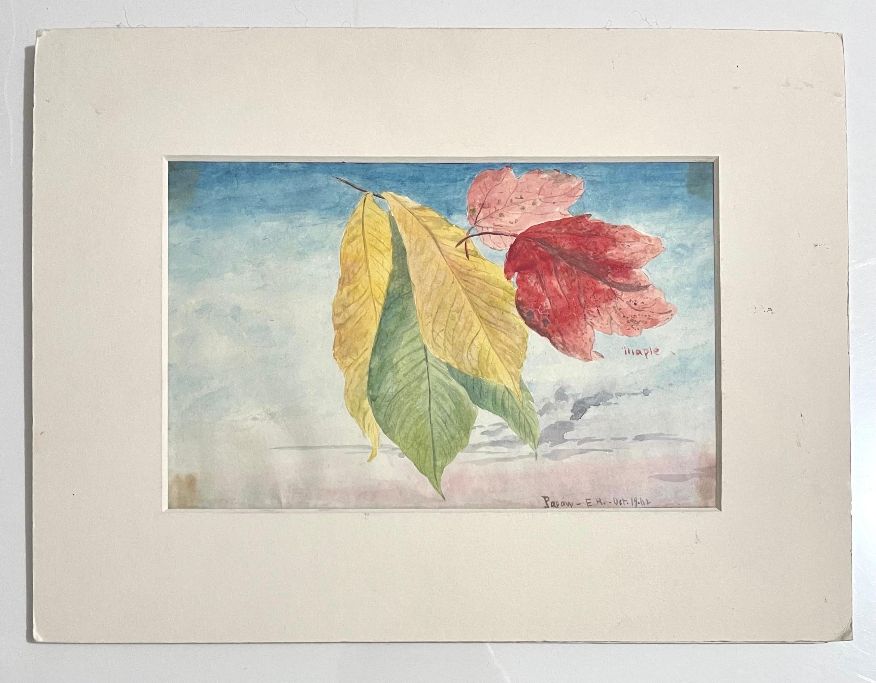Feuilles d'érable Peinture à l'eau A.I.C. Artiste américain Charles DeWolf Brownell - Marron Landscape Art par Charles De Wolf Brownell
