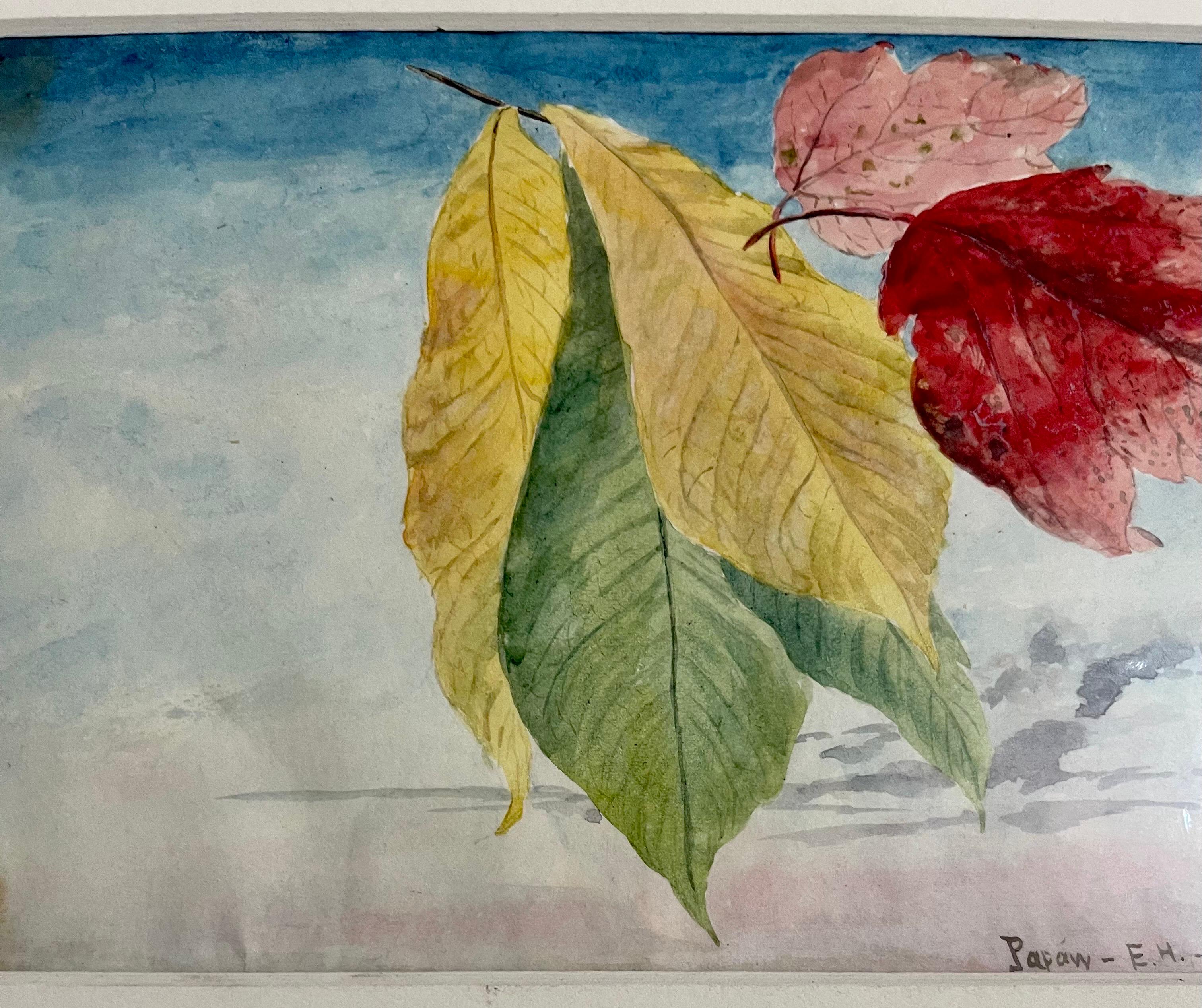 Charles De WOLFS Brownell (Américain, 1822 - 1909) 
Aquarelle sur papier de feuilles d'érable sur fond de ciel, 
Daté à la main et portant l'inscription 