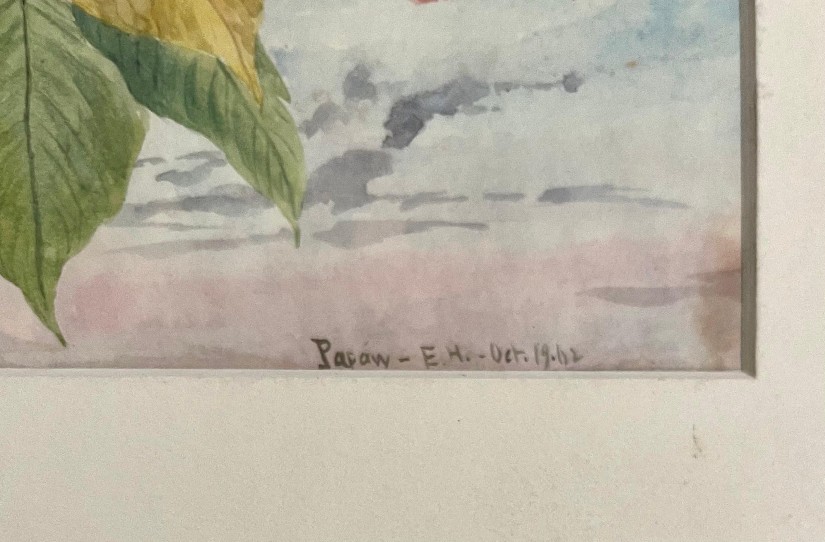 Feuilles d'érable Peinture à l'eau A.I.C. Artiste américain Charles DeWolf Brownell en vente 9