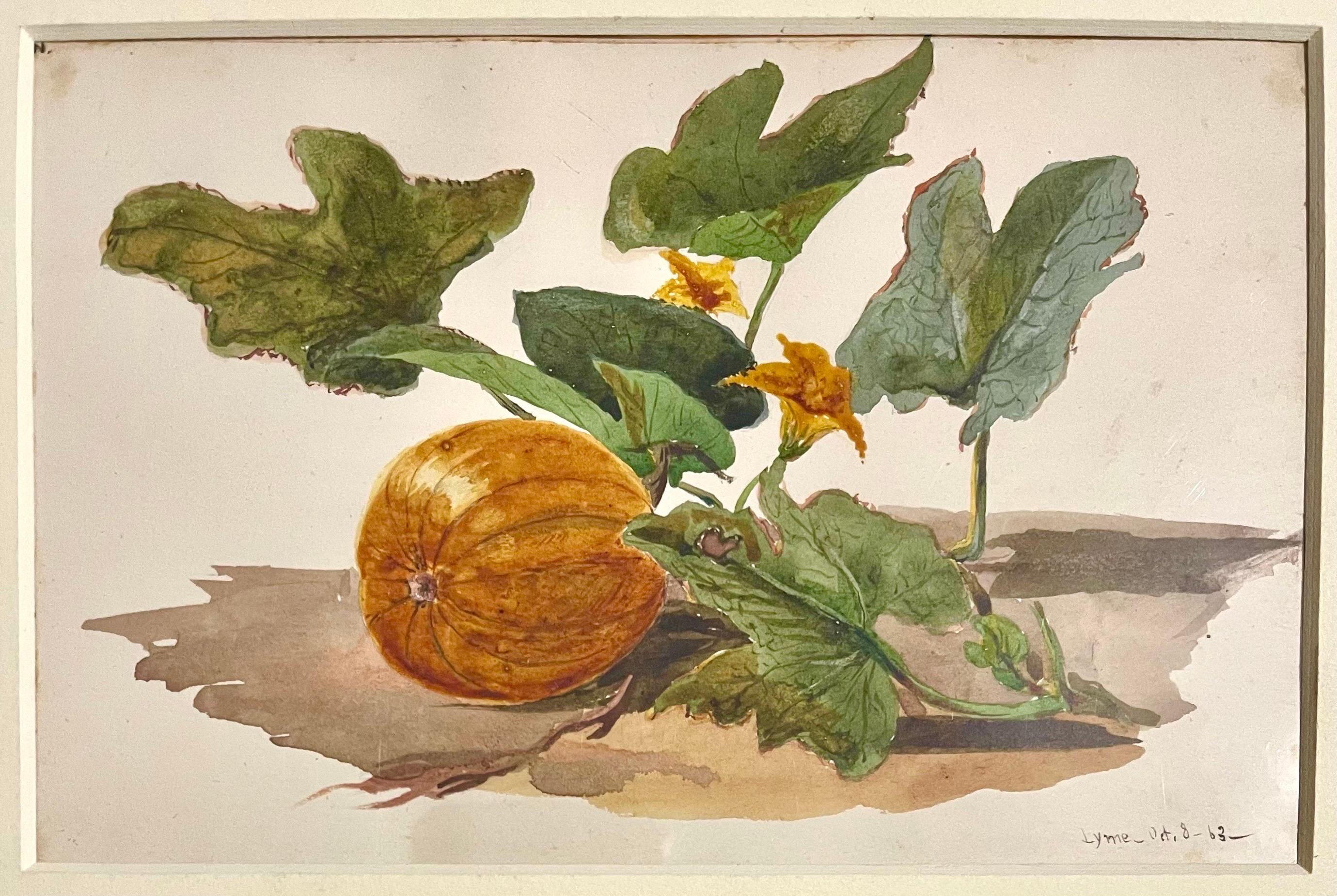 Vite di zucca Dipinto ad acquerello del 19° secolo dell'artista americano Charles DeWolf Brownell - Art di Charles De Wolf Brownell