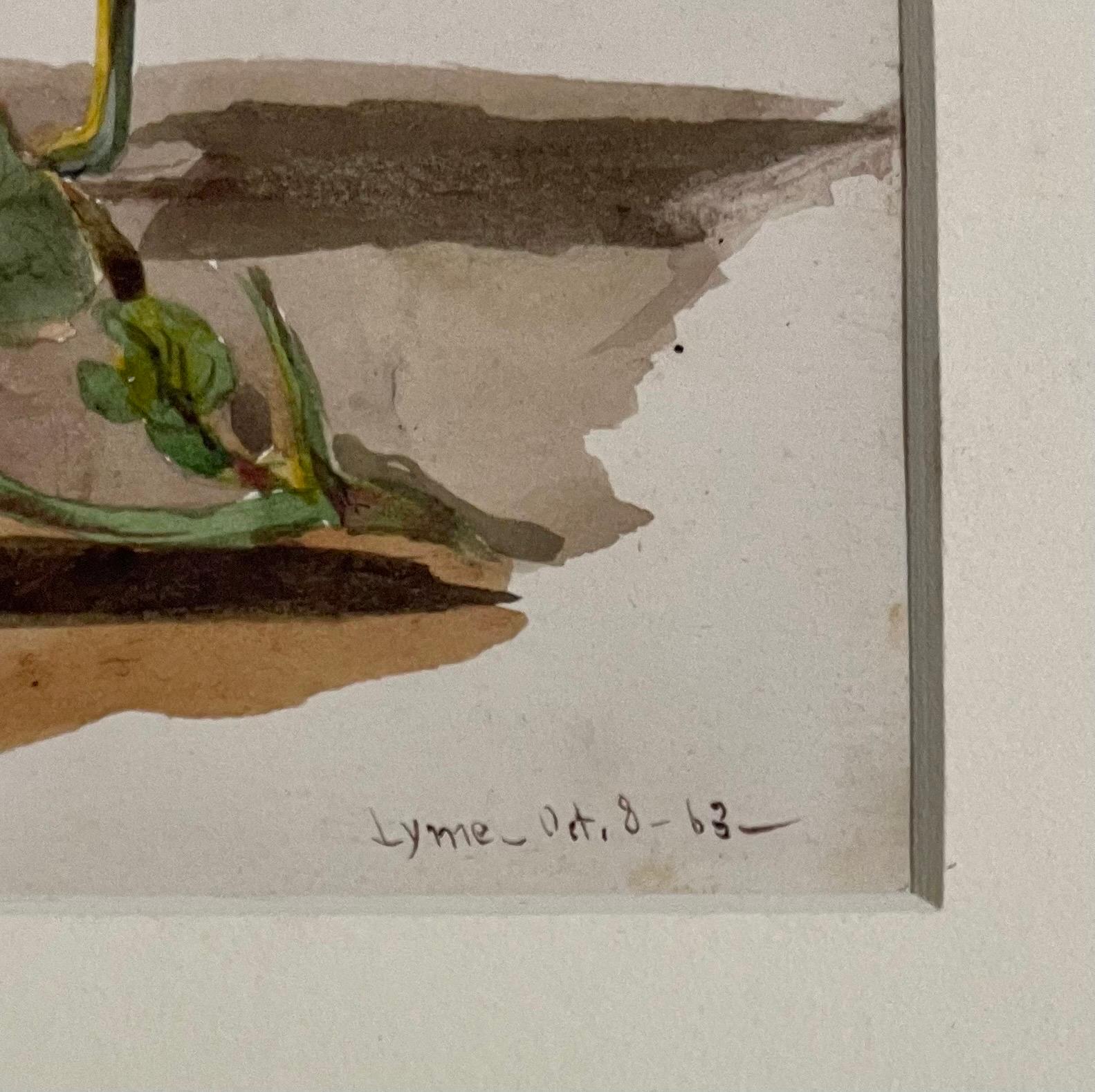 Vite di zucca Dipinto ad acquerello del 19° secolo dell'artista americano Charles DeWolf Brownell in vendita 6