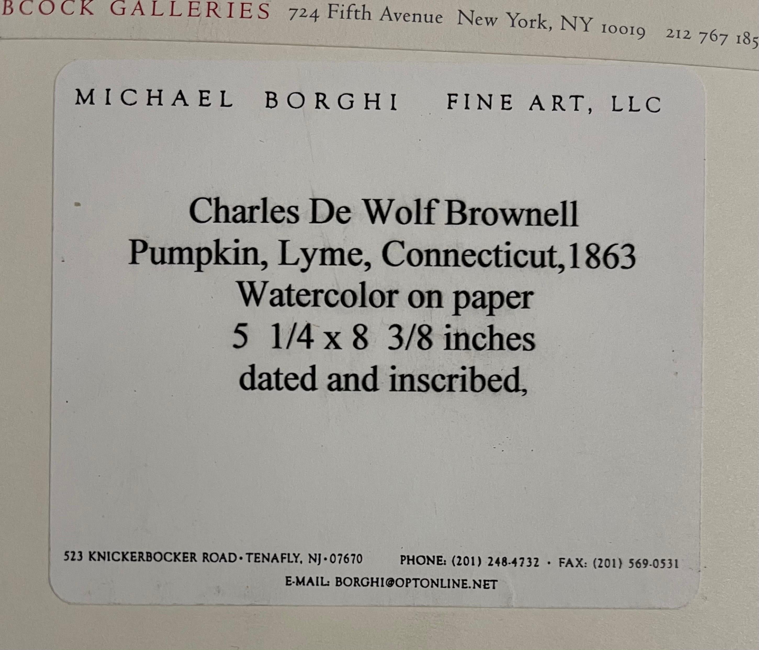 Vite di zucca Dipinto ad acquerello del 19° secolo dell'artista americano Charles DeWolf Brownell in vendita 7