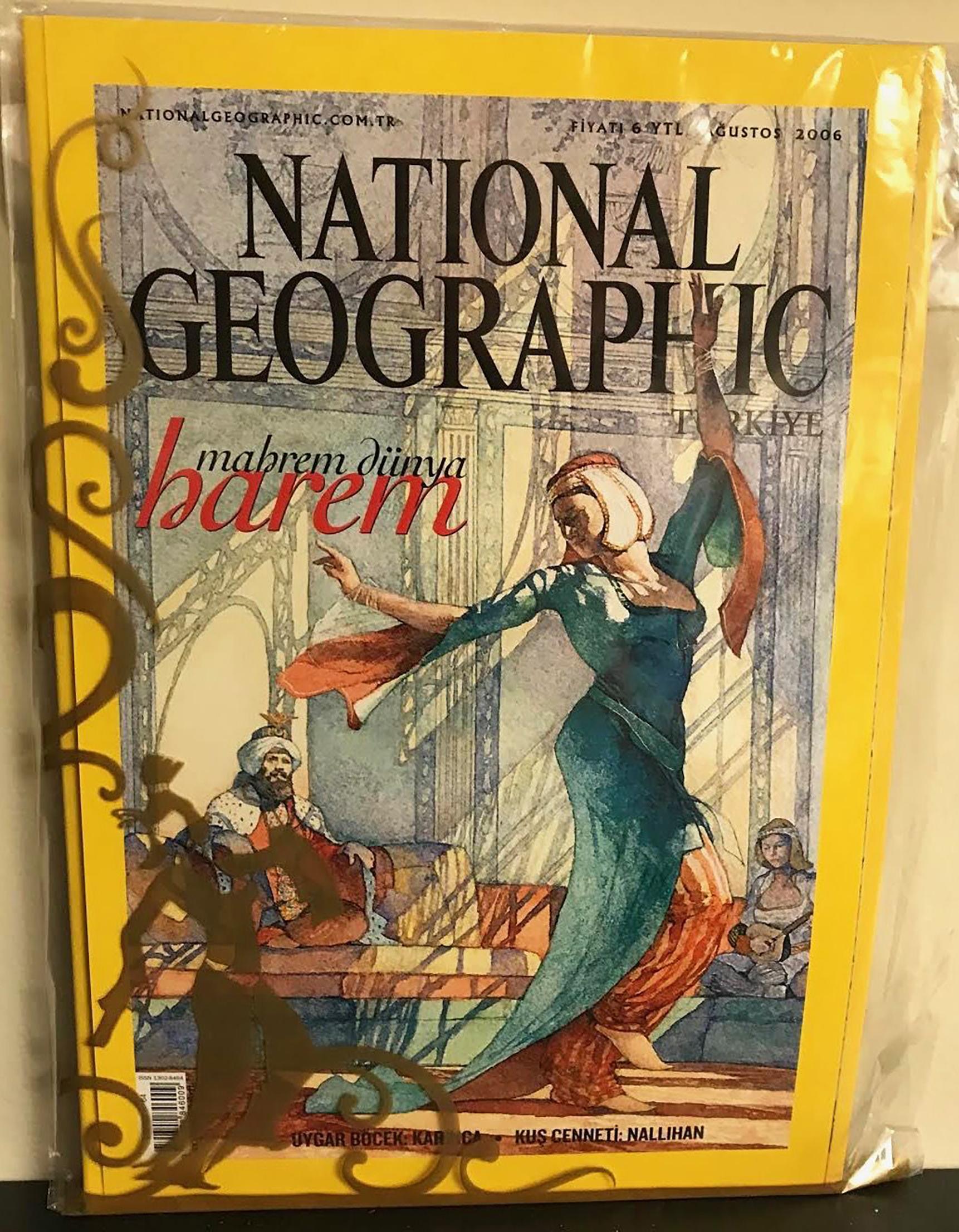 Copertina del National Geographic - Figurative Art Grigio di Greg Harlin
