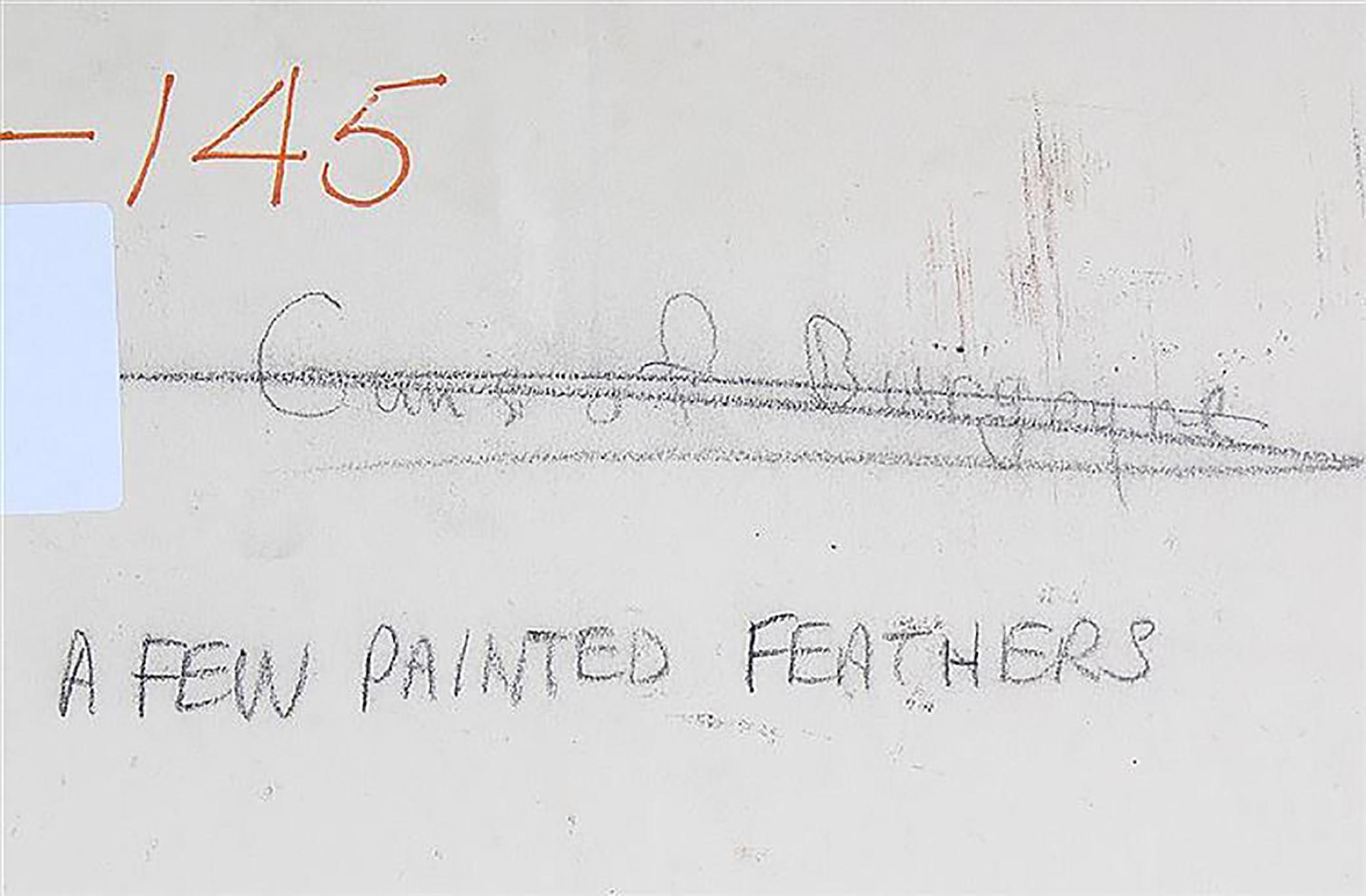 Illustration des Taschenbucheinbands für A Few Painted Feathers von Stephen Longstreet, veröffentlicht von Popular Library, 1963.

Ein historischer Roman über die Amerikanische Revolution. 

Das Titelbild zeigt einen Mann, der eine Frau auf die