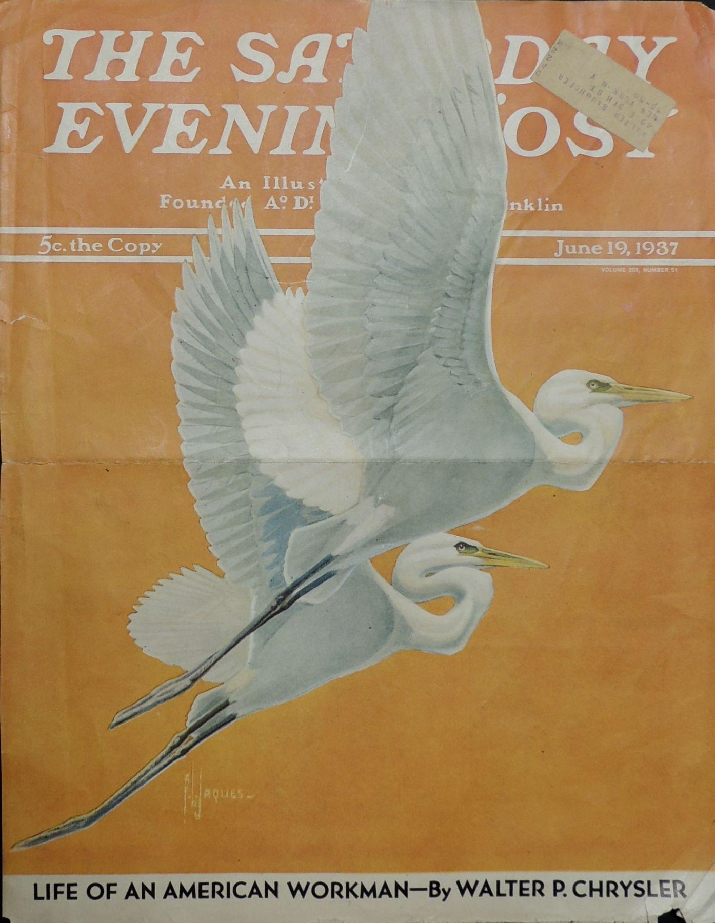 Saturday Evening Post-Cover, 19. Juni 1937 (Braun), Animal Painting, von Francis Lee Jacques