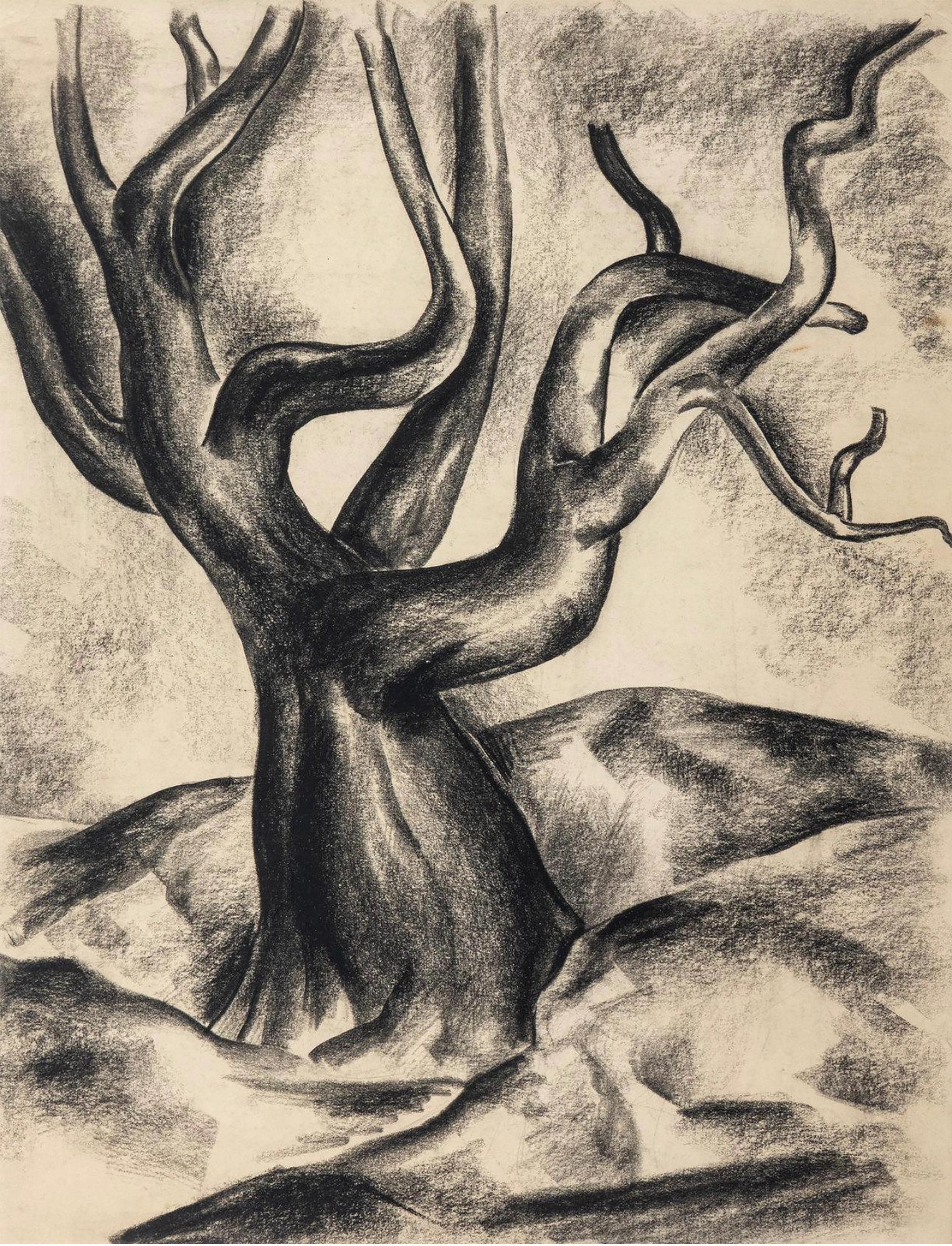 Charles Alston Landscape Art – Gnarled Tree – afrikanischer amerikanischer Künstler 