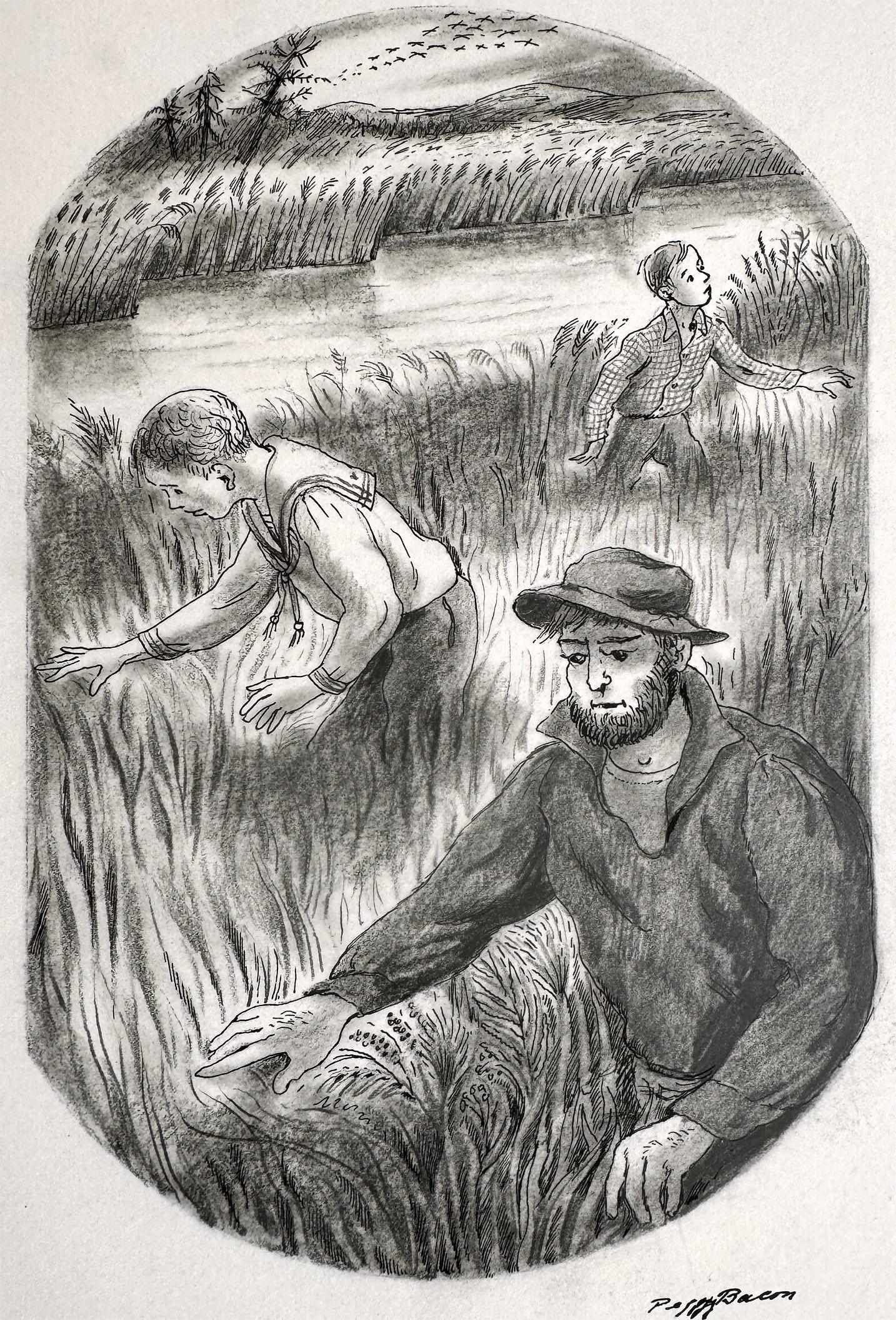 searching in the Tall Grass – Buchillustration der Frau Illustratorin,  Americana