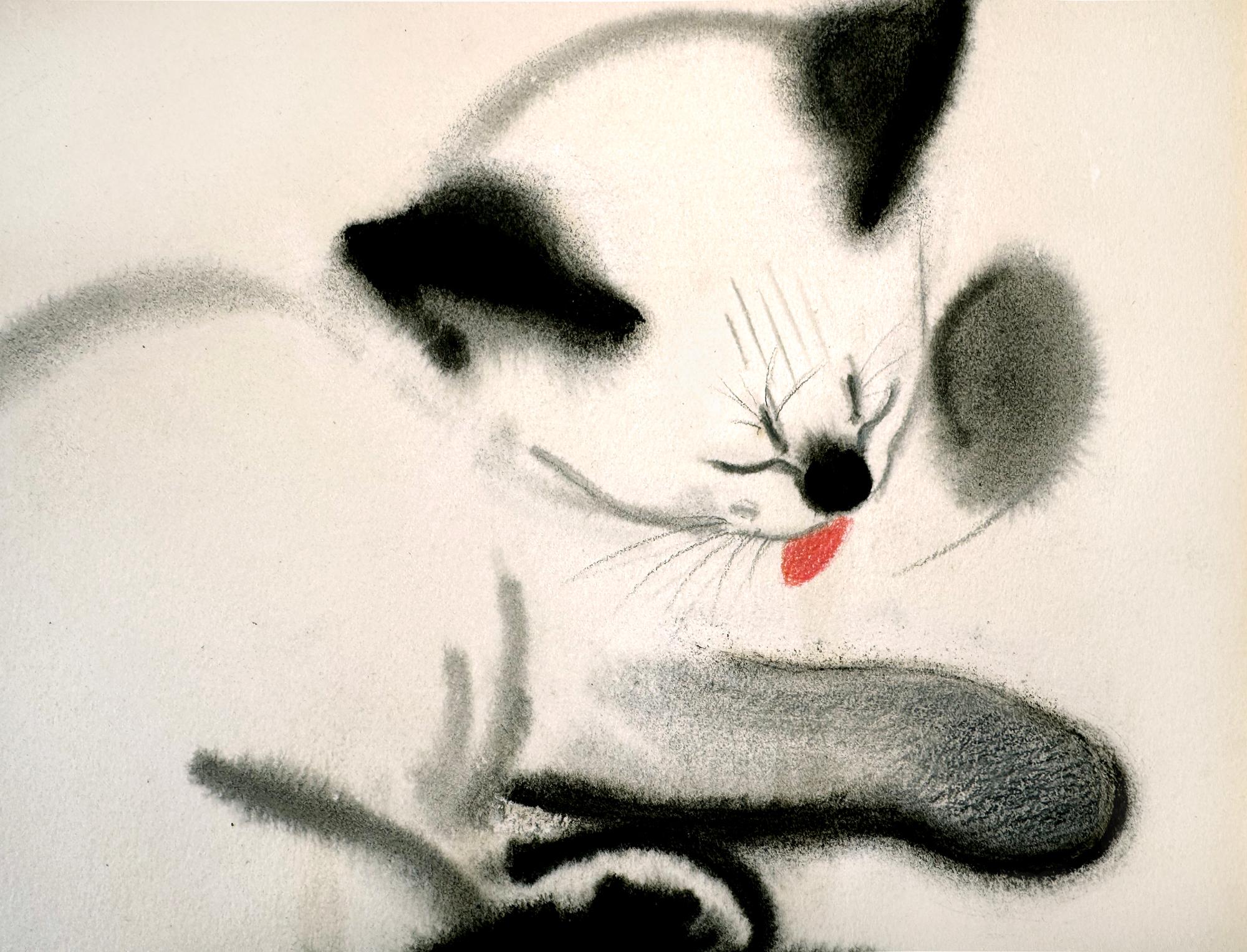 Babette il gatto, illustratore donna - Art Impressionismo americano di Clare Turlay Newberry