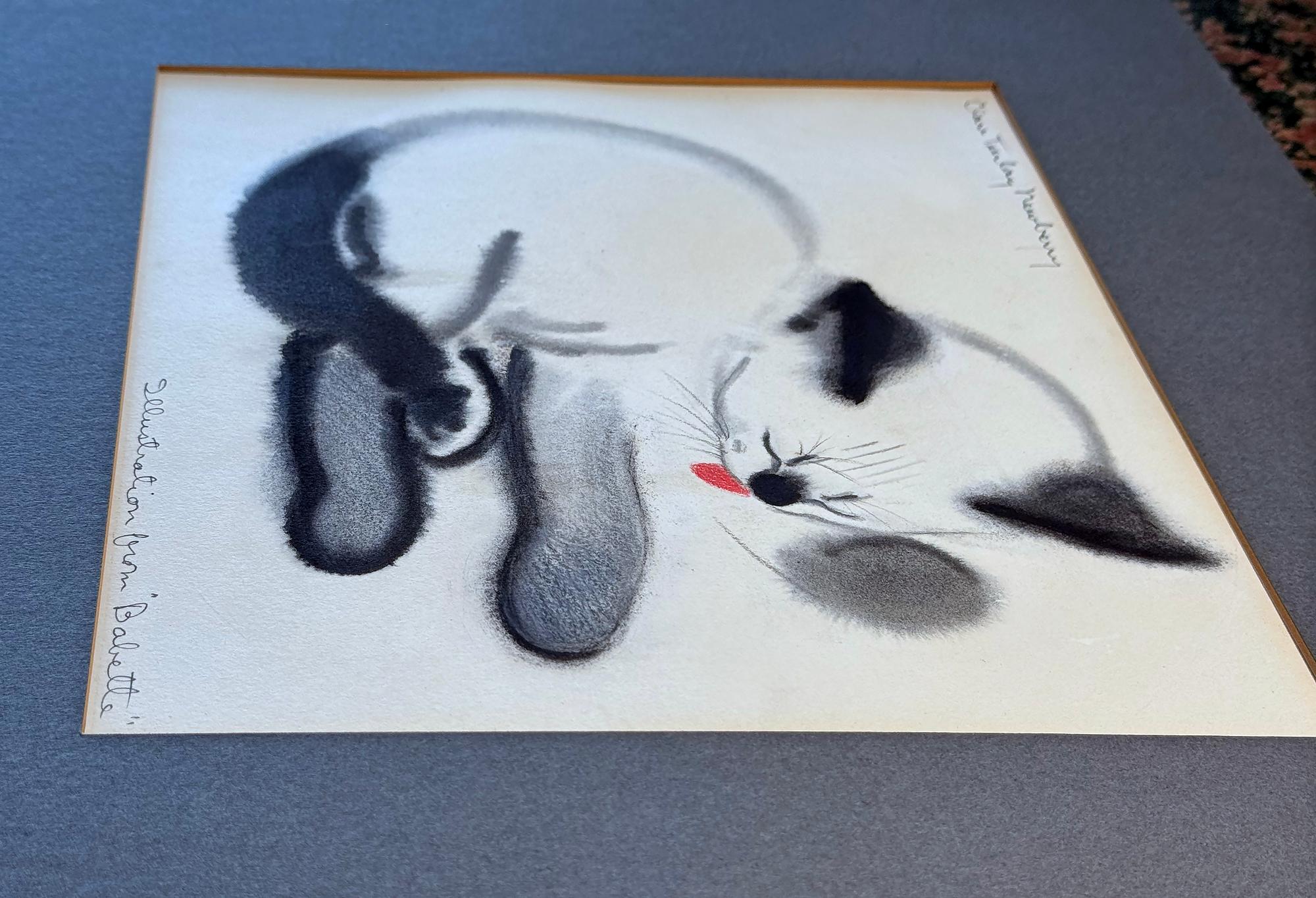 Babette il gatto, illustratore donna - Animal Art Bianco di Clare Turlay Newberry