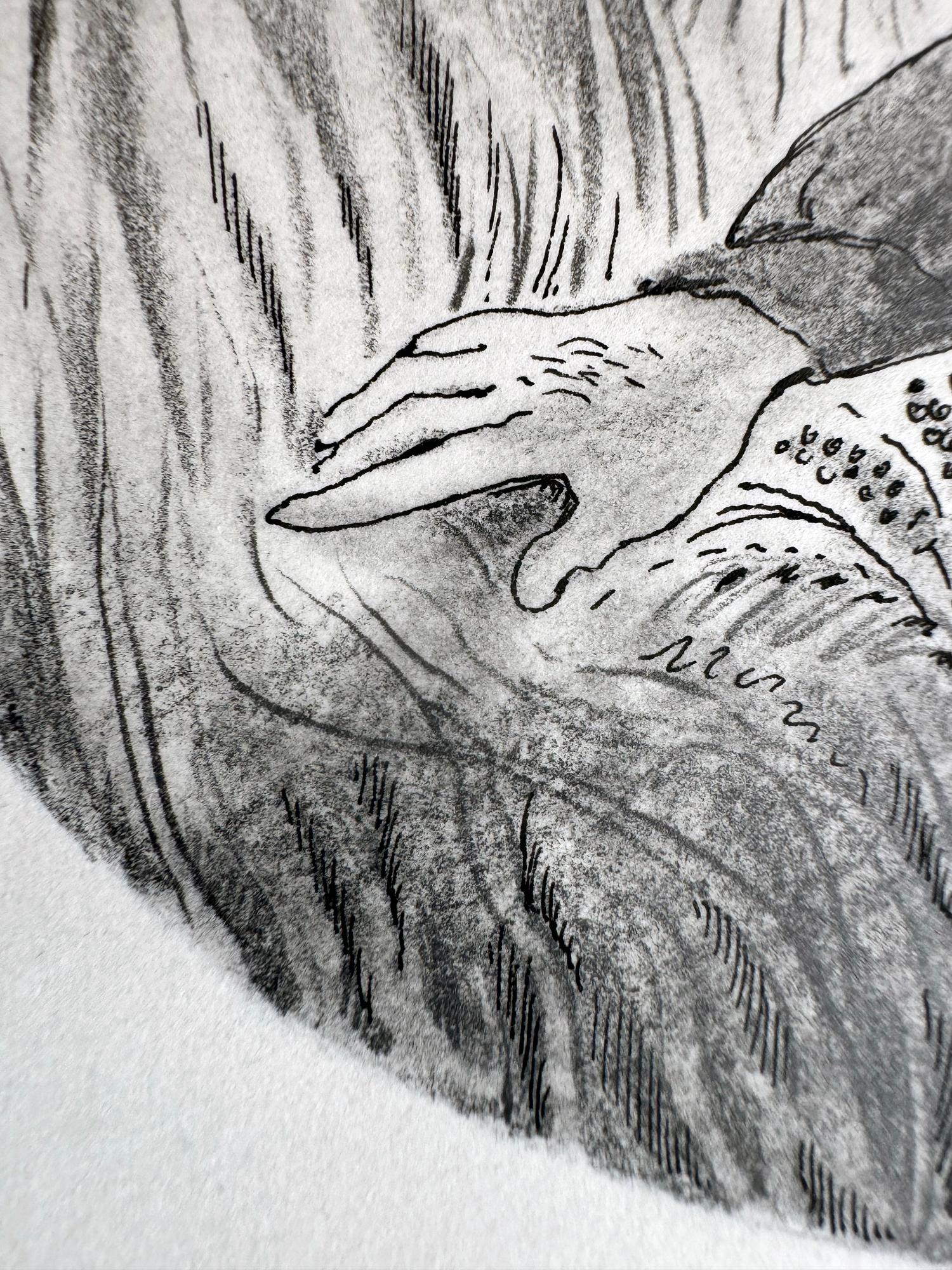 Cercando nell'erba alta - Illustrazione per libri di un'illustratrice donna,  Americana in vendita 2