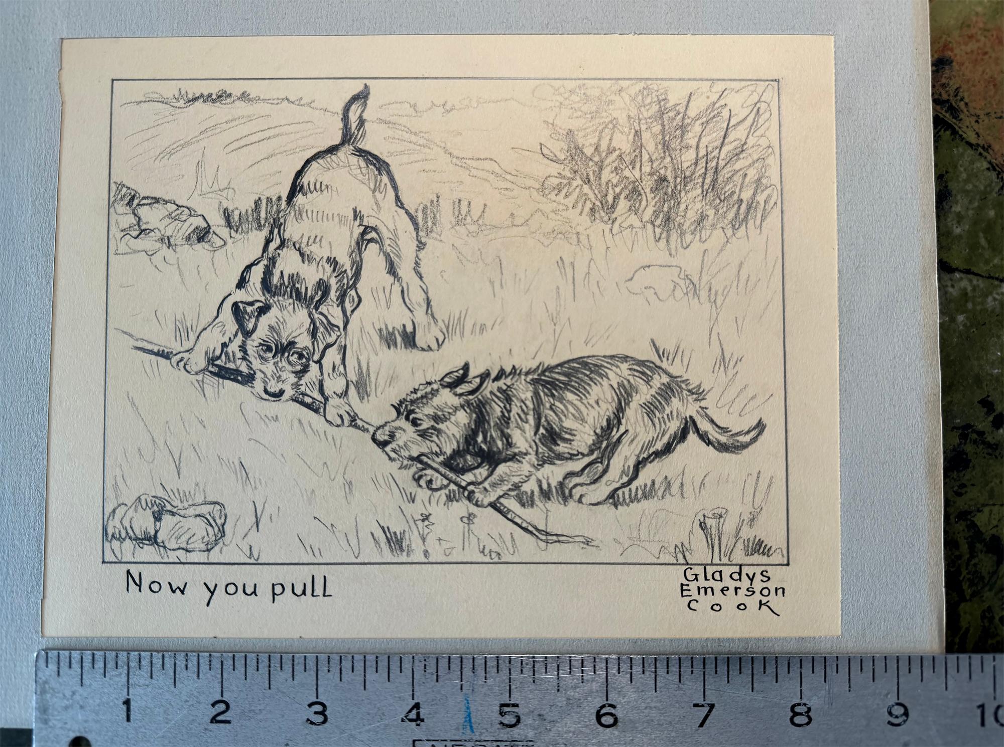 L'animalière et illustratrice féminine de l'âge d'or, Gladys Emerson Cook, dessine une image pleine de tension de deux terriers écossais se battant pour un bâton.  En quelques lignes, l'artiste transmet le drame de l'instant et obtient l'anatomie