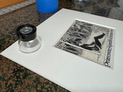 Fairy Tale Children's Book  Fantasy Illustration in Black and White