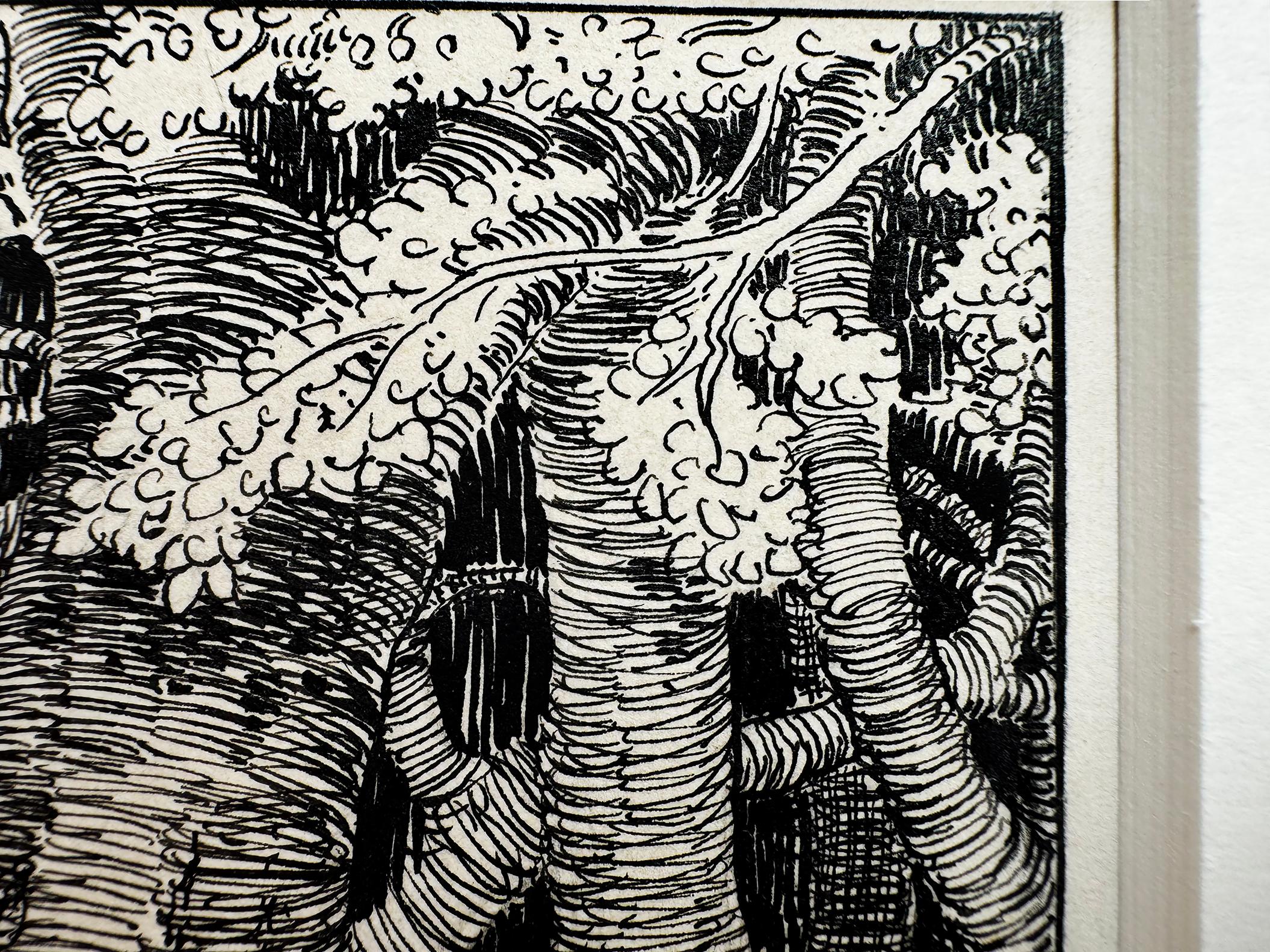 Libro di fiabe per bambini  Illustrazione fantasy in bianco e nero in vendita 1