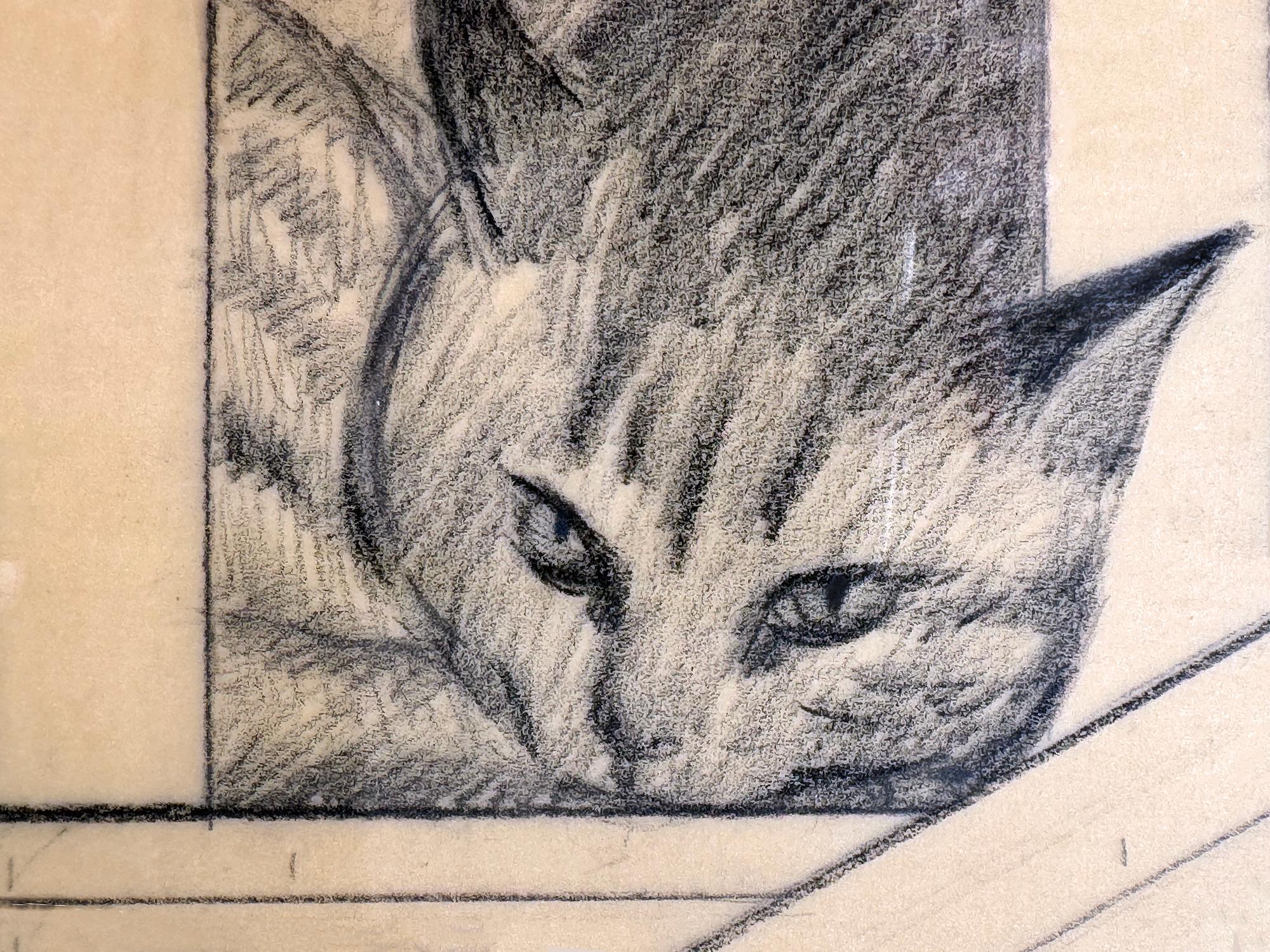 La sieste du chat sur les marches capturée par le peintre réaliste Will Barnet. Plus qu'une simple étude préliminaire, il s'agit d'une étude soignée et précise, ce qui lui permet d'être autonome. En personne, il s'agit d'une œuvre d'art unifiée,