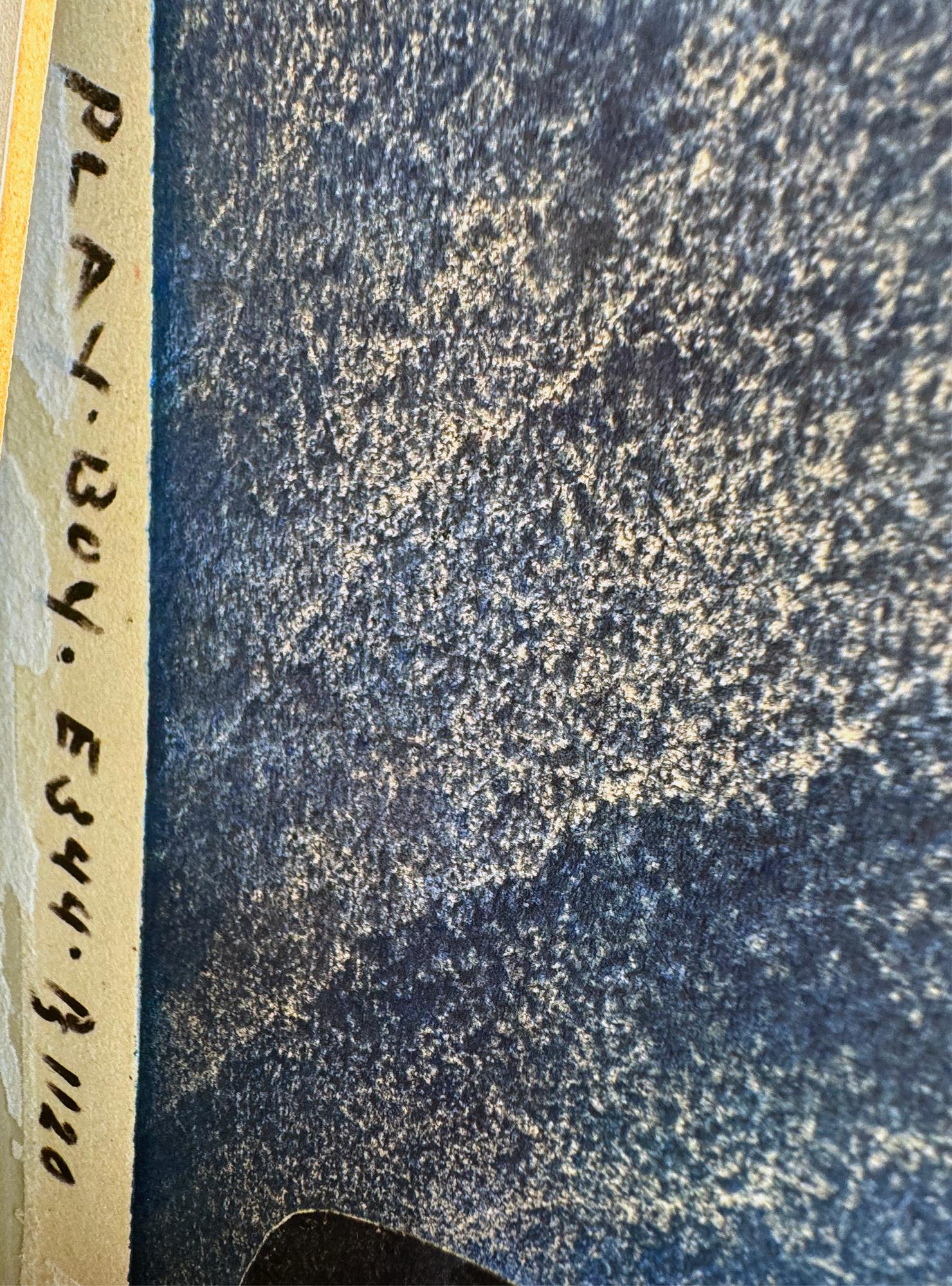 Aigle attaquant aux serres prêtes à frapper sa proie en bleu -Japonais-Américain en vente 2