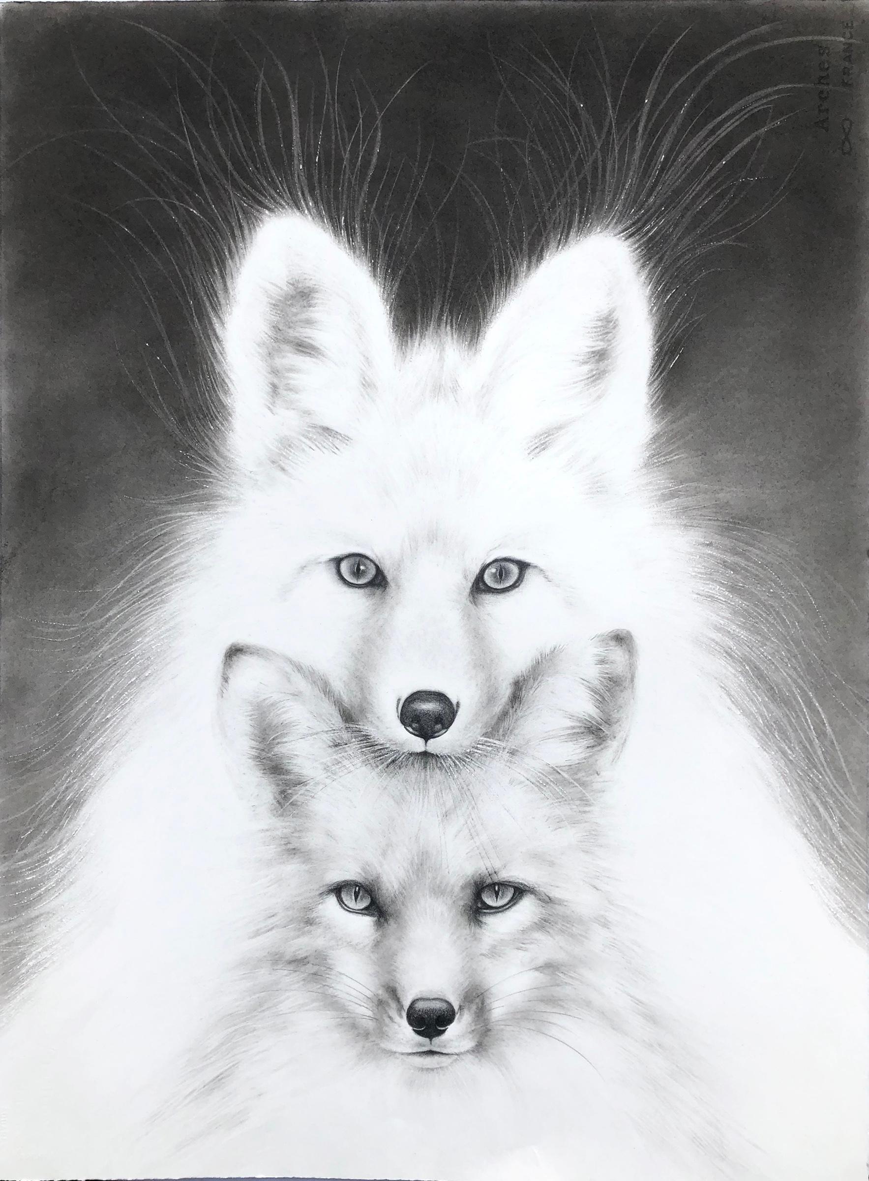 Fox Medicine - Art by Amy Ross