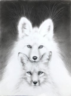 Medicina Fox