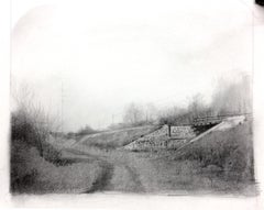 Ponte, linea Needham