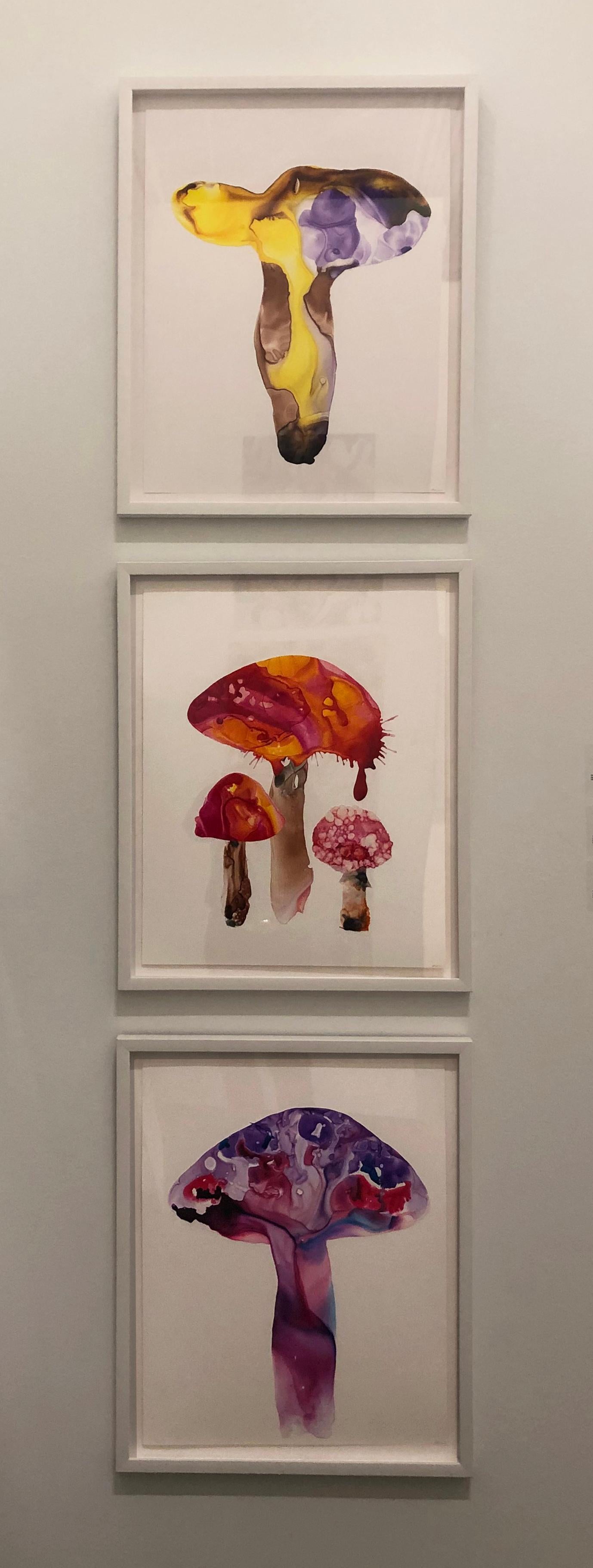 Apparizione 3 - Art di Amy Ross