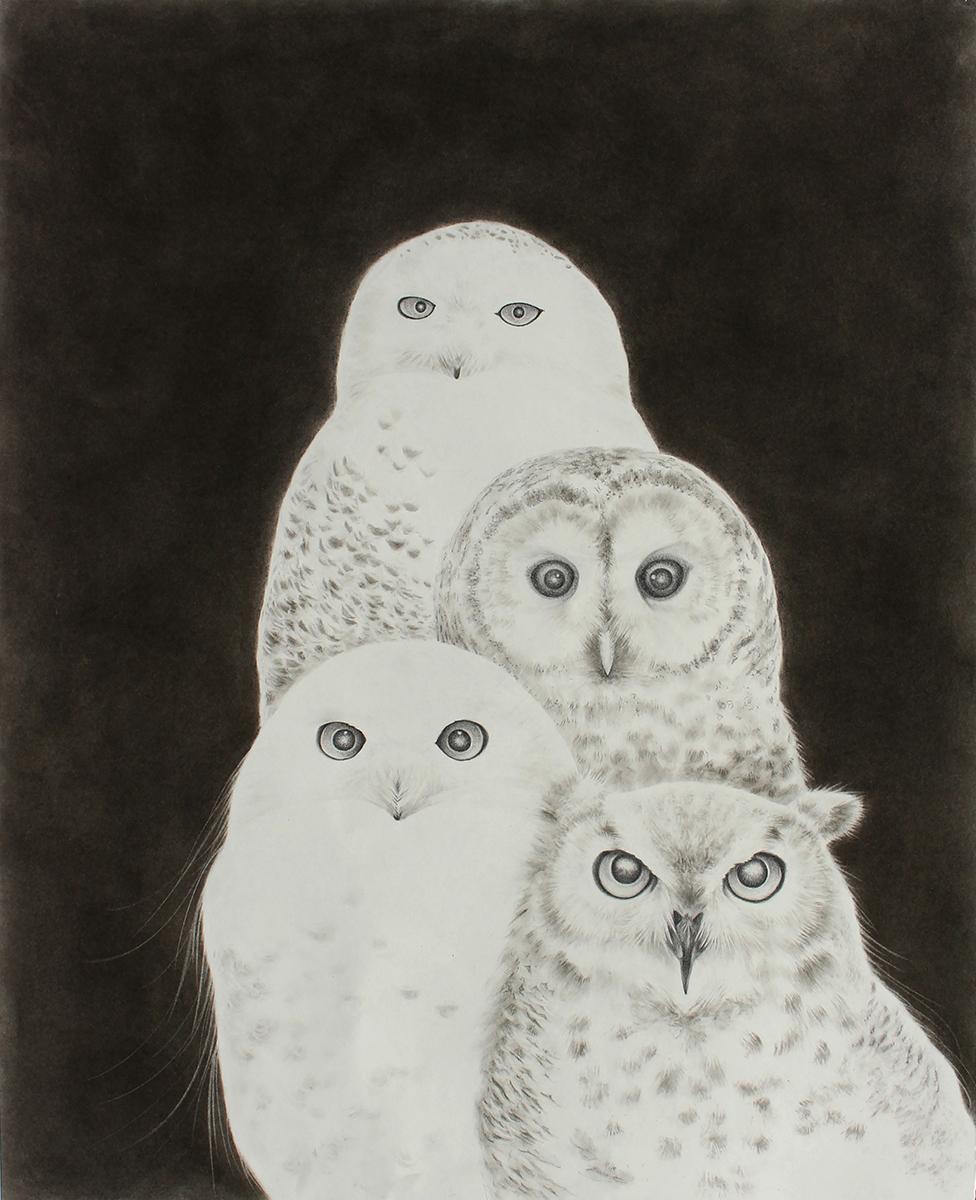 Amy Ross Animal Art - Parliament of Owls