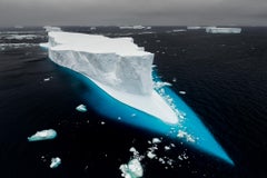 Adrift, Iceberg Alley, Antarctica by Marine Biologist Paul Nicklen 