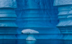 En muchos niveles, la Antártida por Paul Nicklen - Fotografía contemporánea de paisajes helados