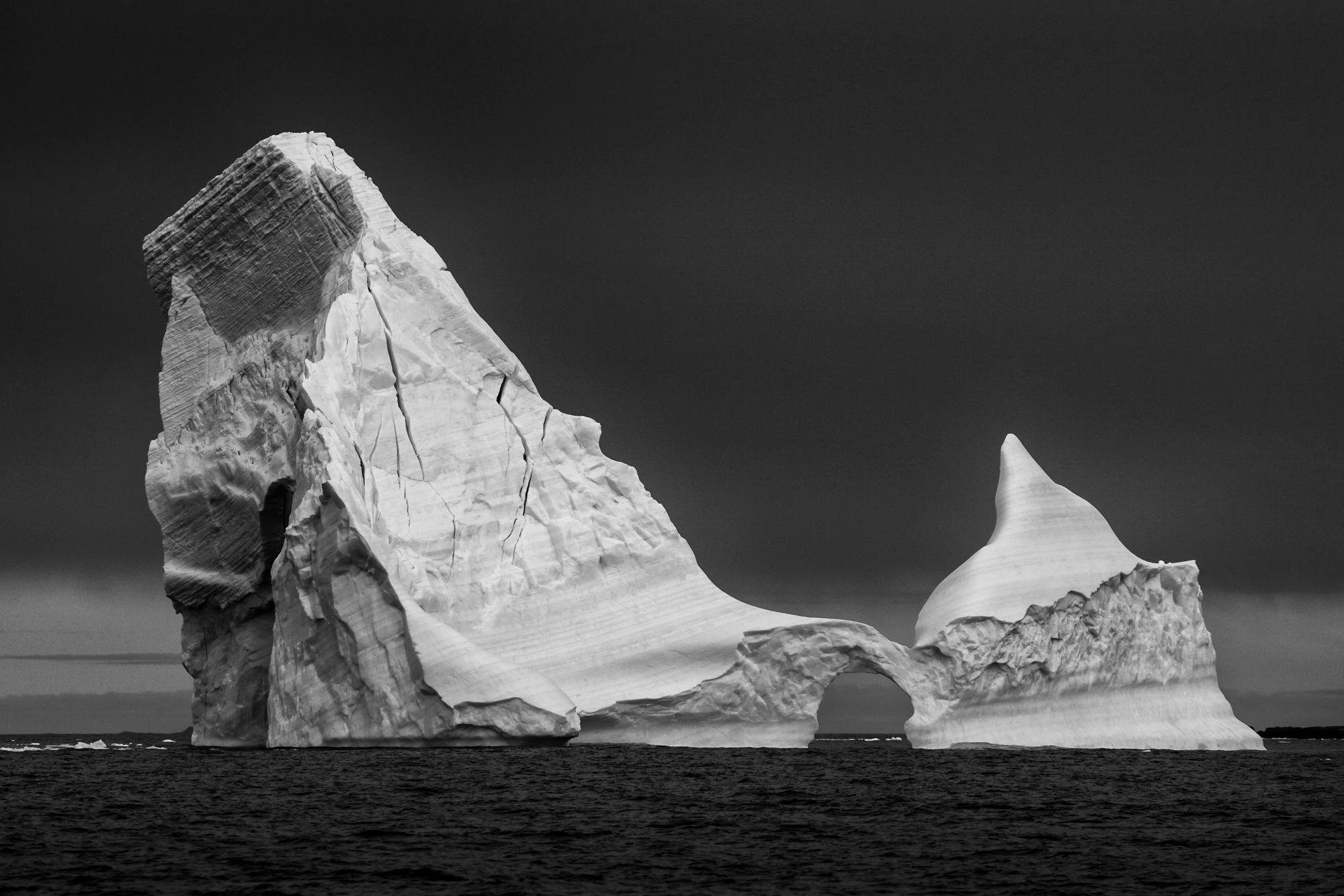 Paul Nicklen Landscape Photograph - The Last Stand