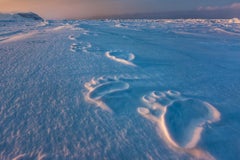 Impresiones polares, Noruega, por el biólogo marino Paul Nicklen