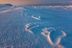 Polar Impressions, Norway by Marine Biologist Paul Nicklen