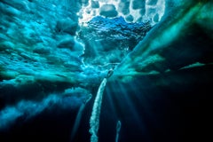 Propulsion, Antarctica by Paul Nicklen