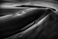 Killer Tension, Alaska by Paul Nicklen 